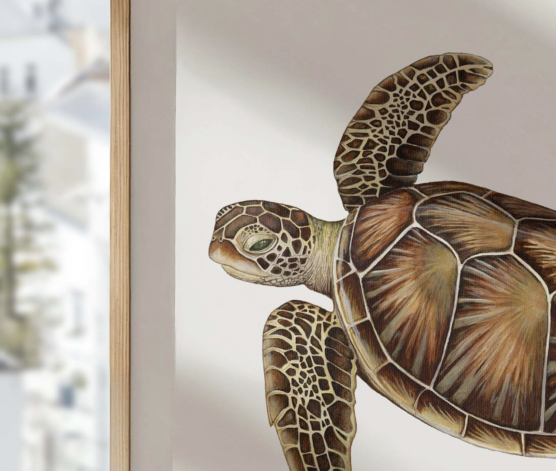 Green Turtle Closeup.png