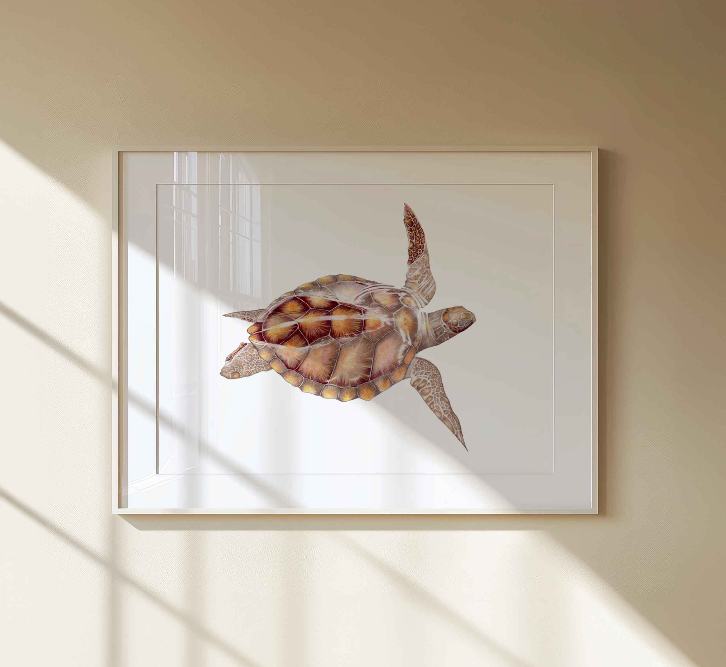 Sea Turtle 001 Print