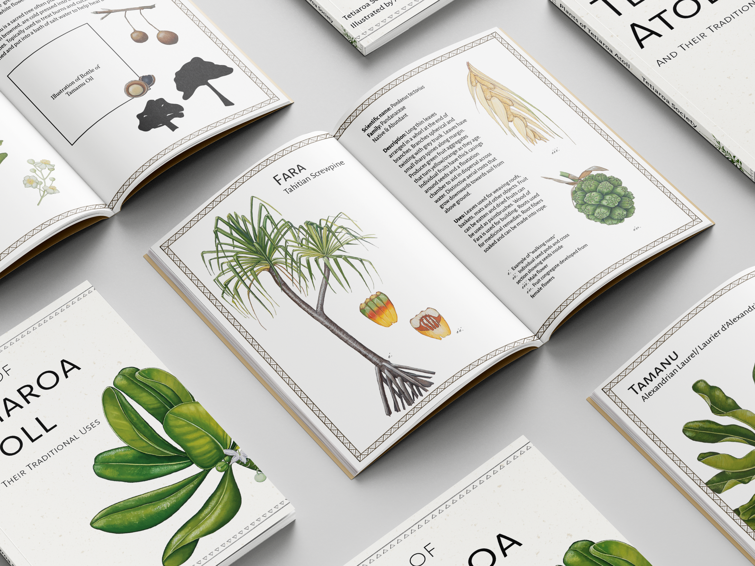 Inside Pages Fara Multiple.png
