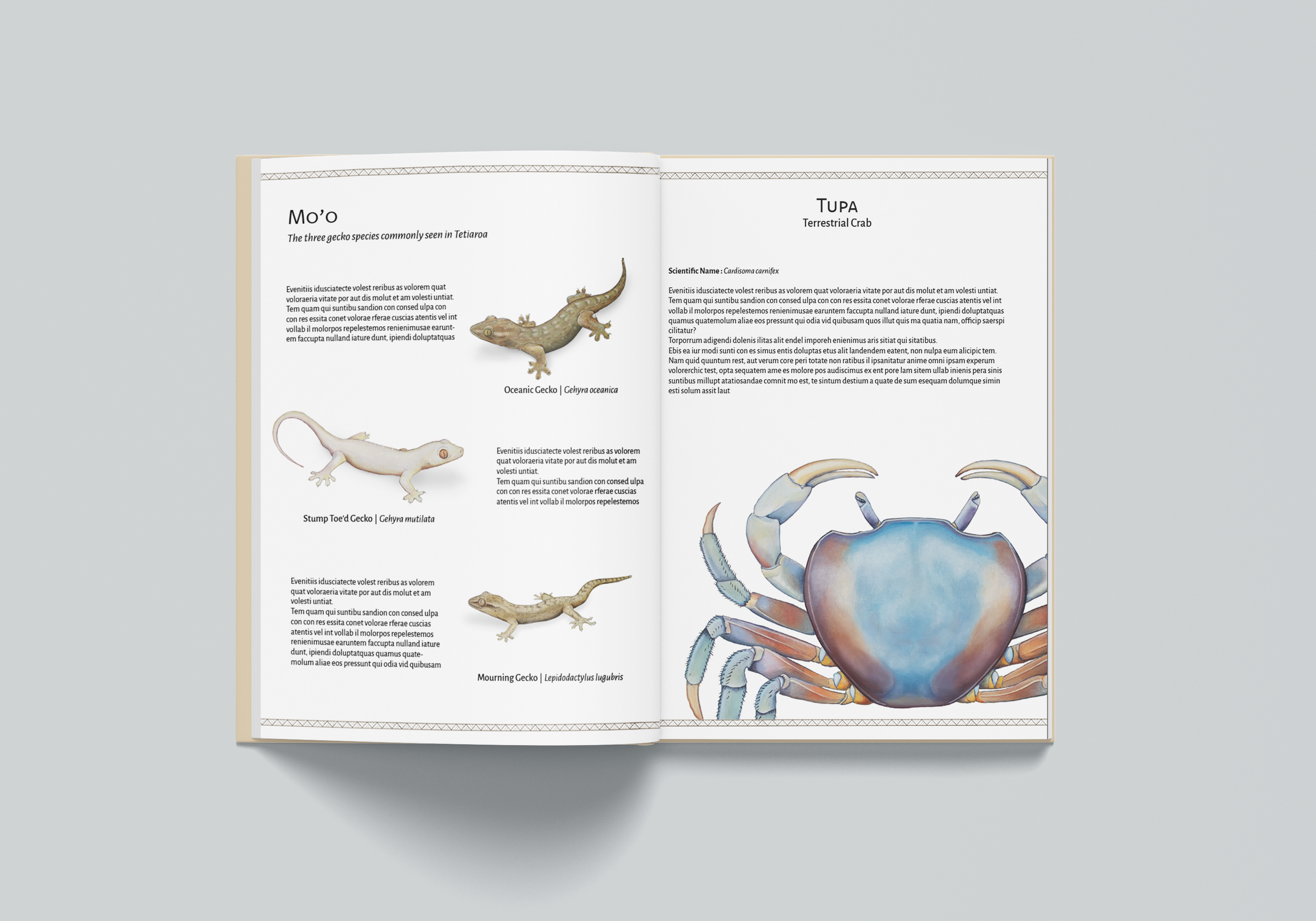 A4_Book_Mockup_Pages.png