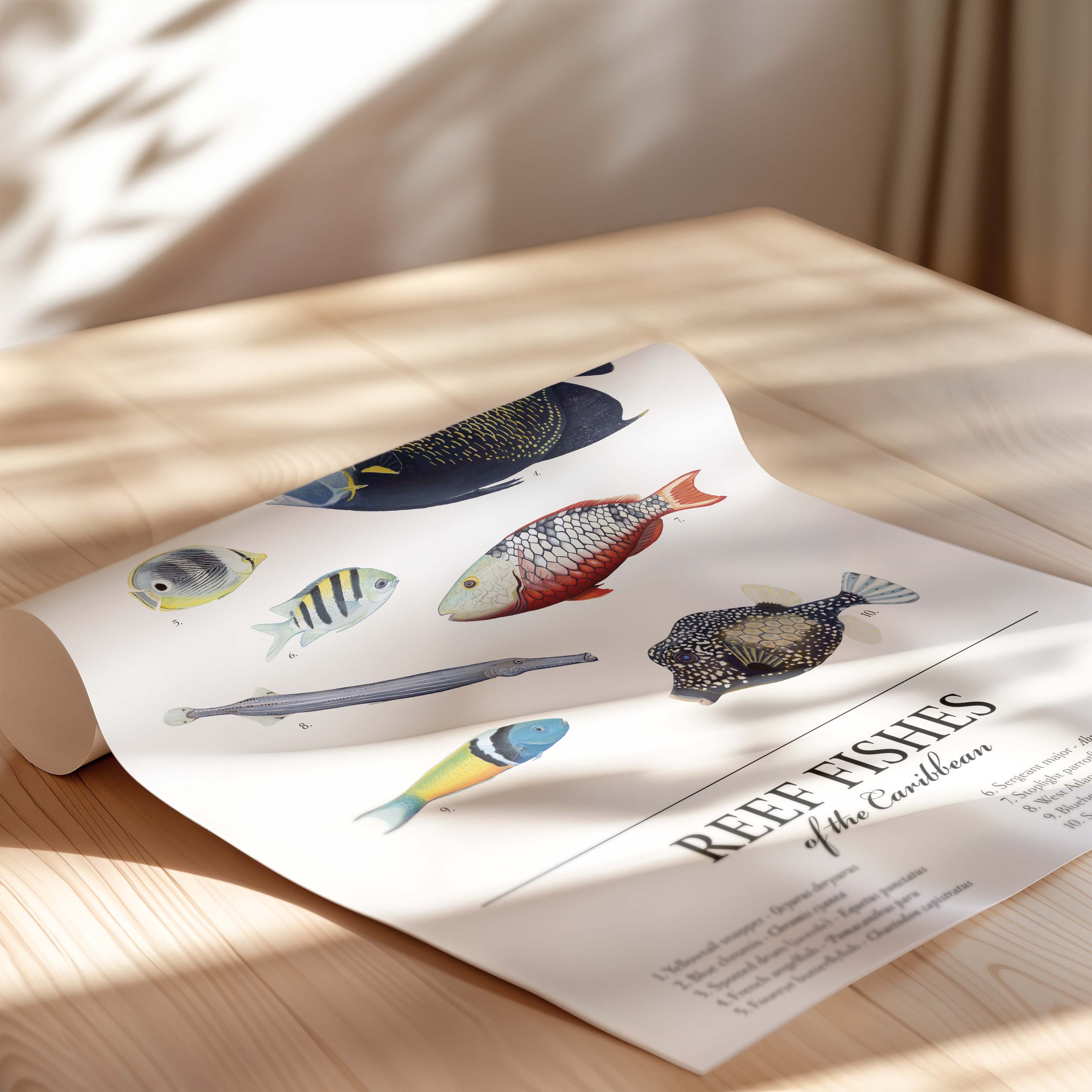 ReefFishes_Rolled_Mockup.jpg