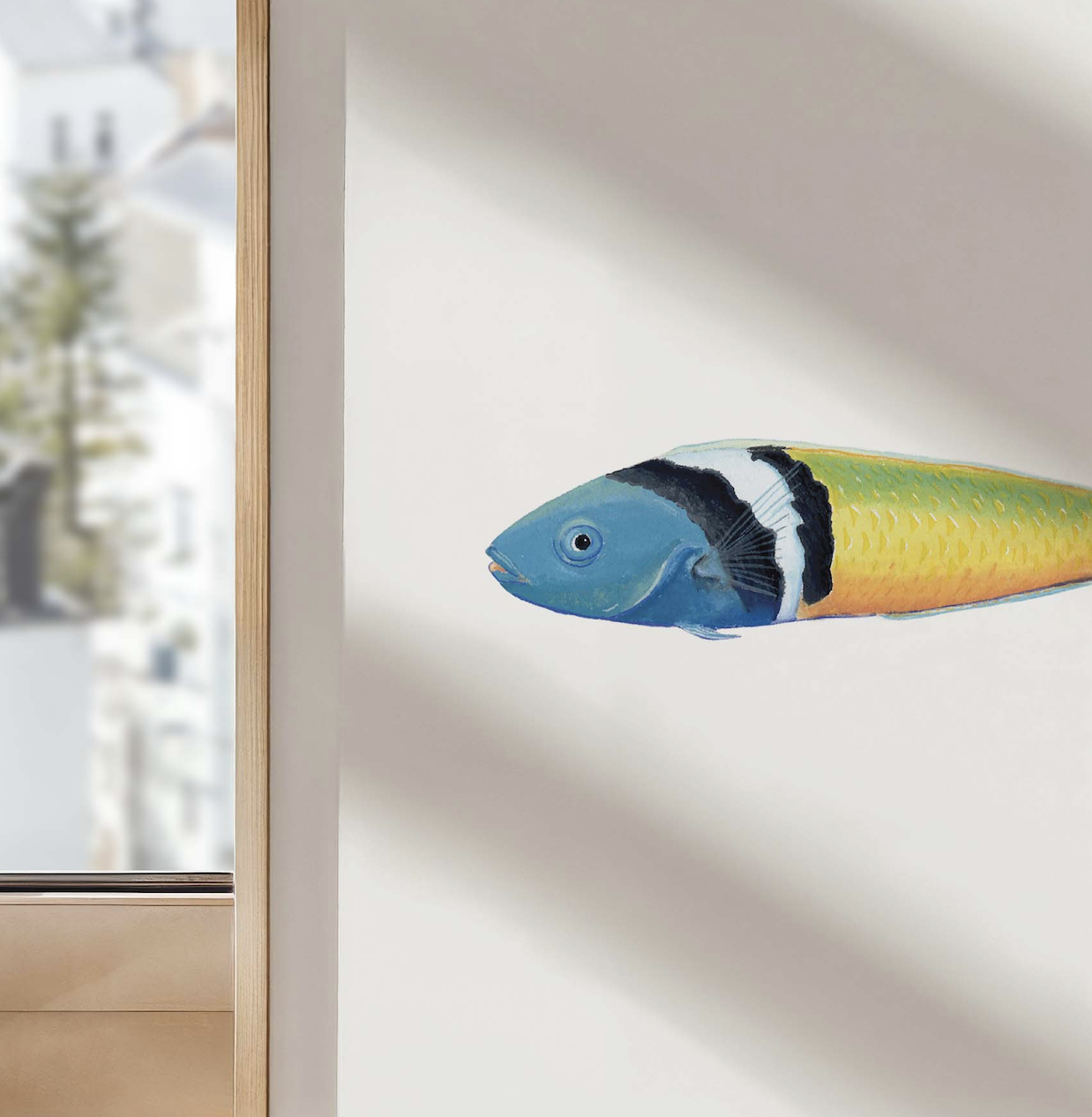BlueheadWrasse Up Close.png