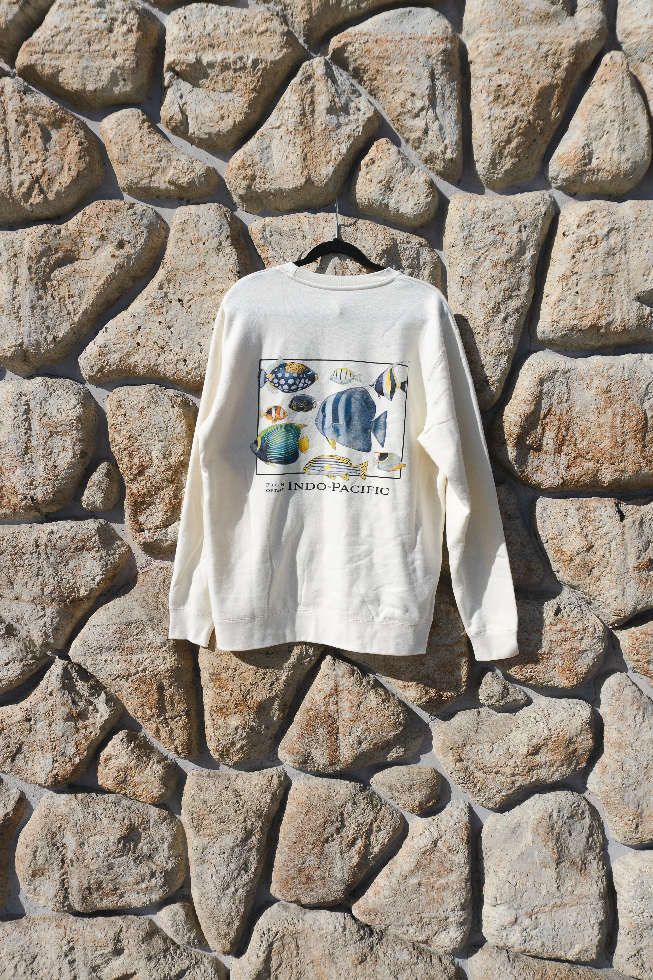 tshirt_hoodie-6.jpg