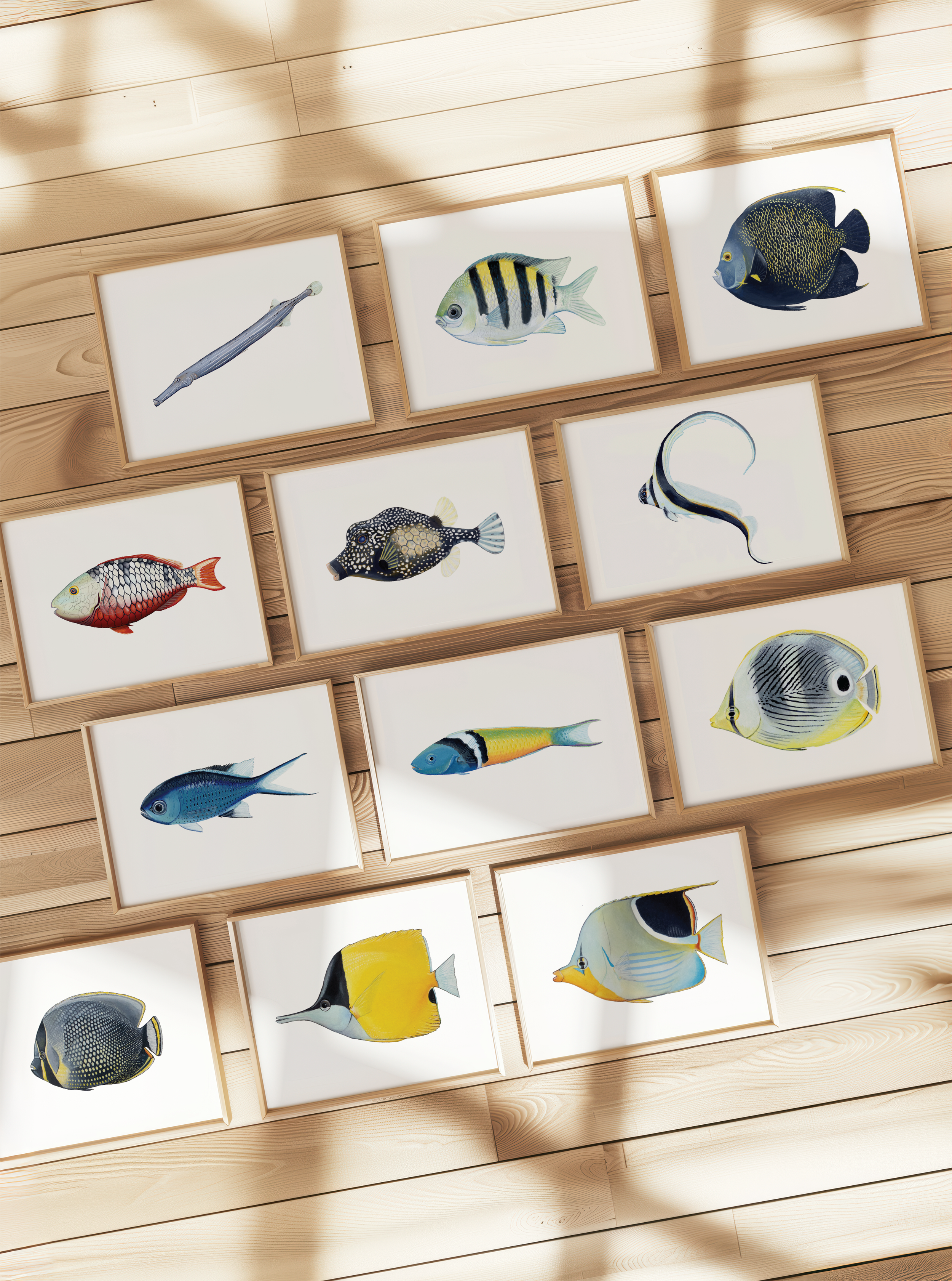 SpottedDrum12Frames Mockup.png