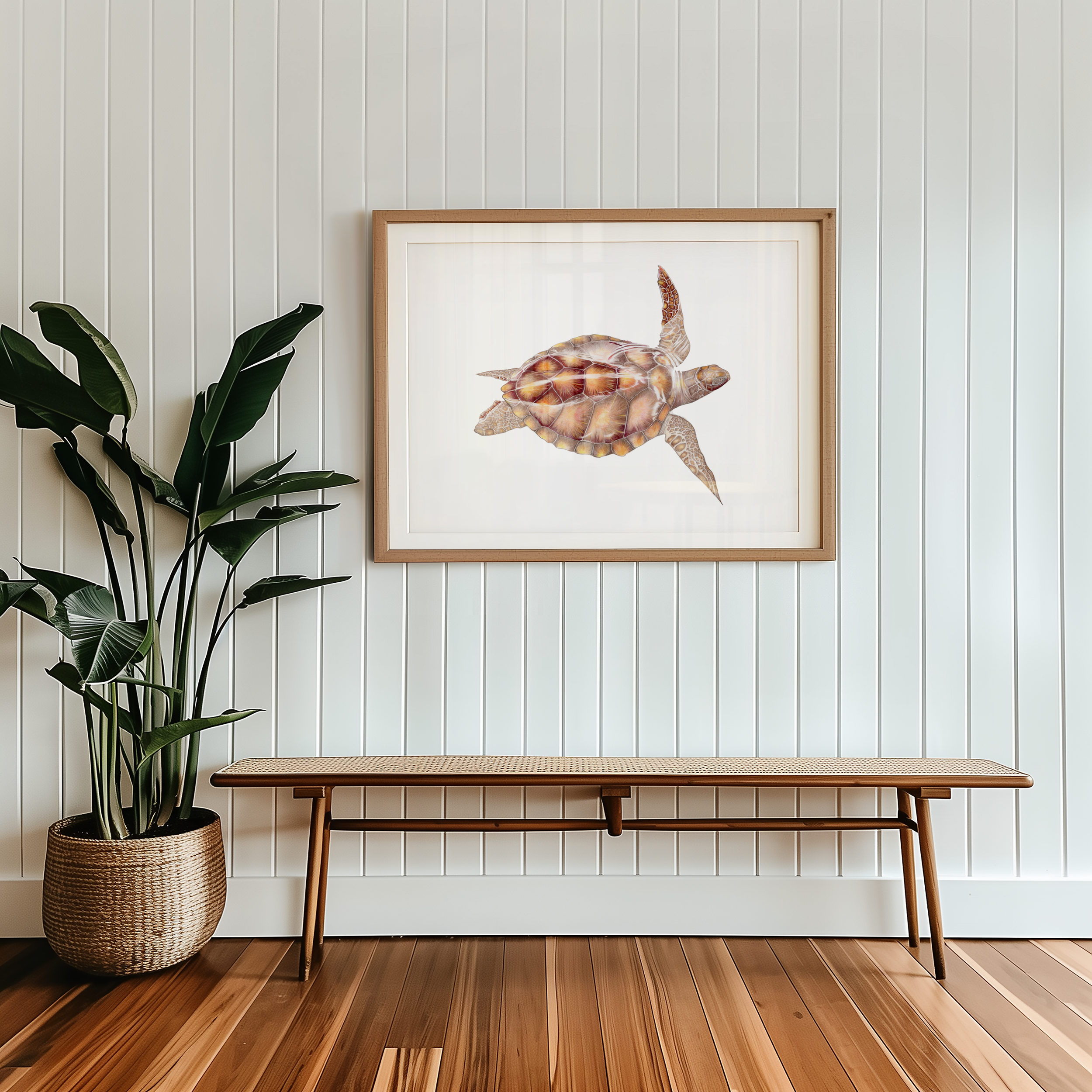 SeaTurtle001BenchMockup.png