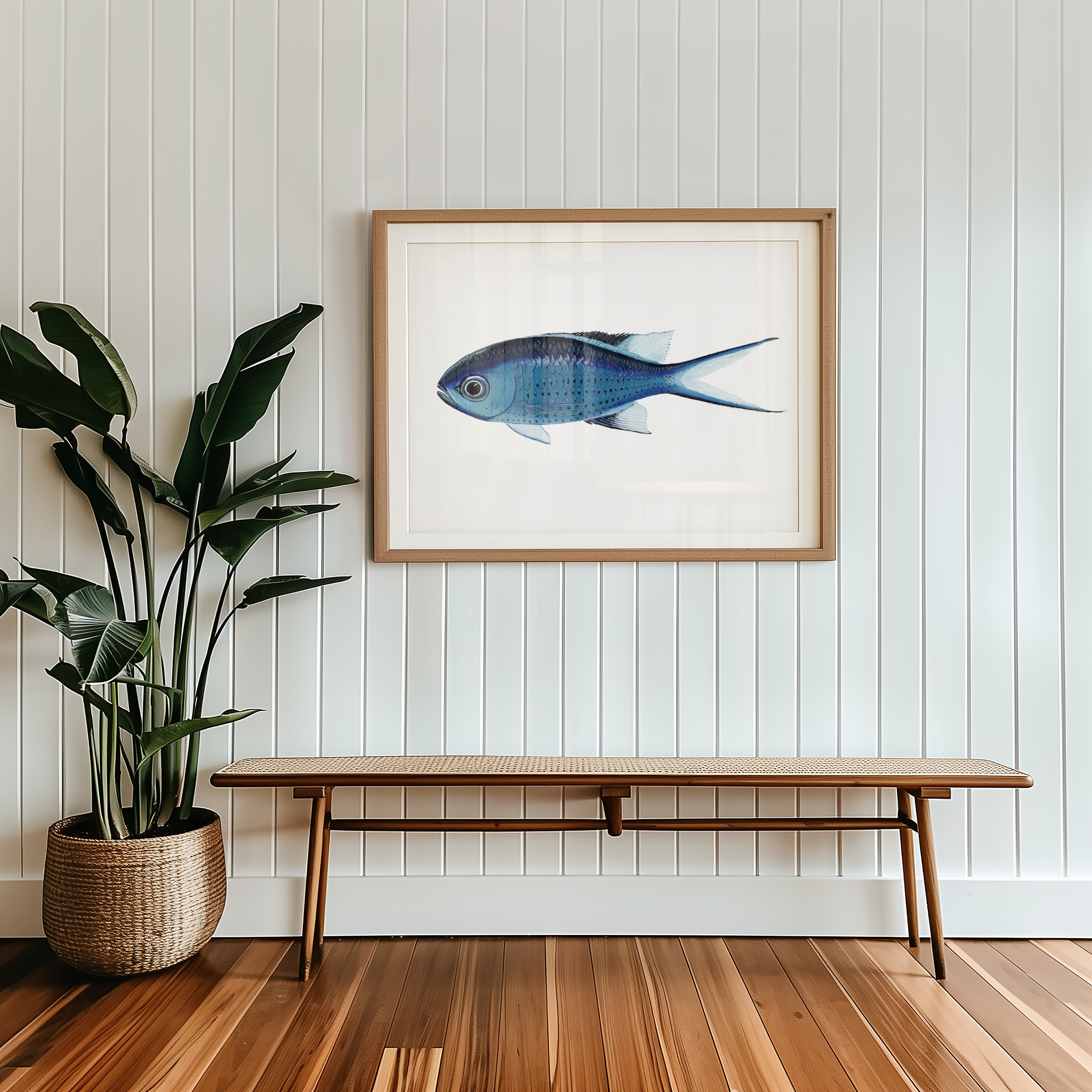 Blue Chromis Print