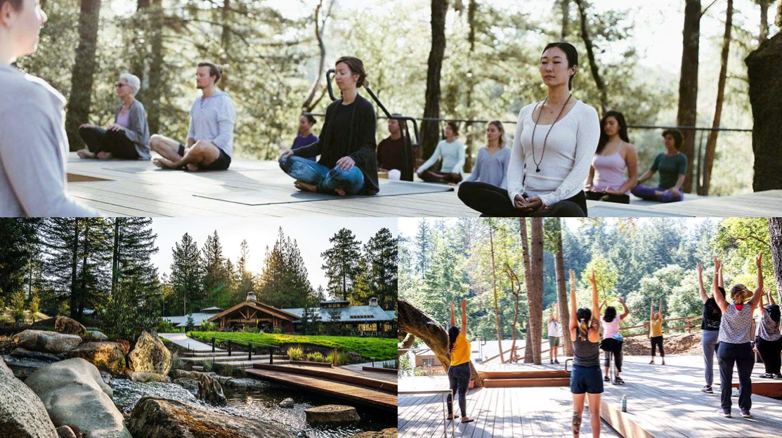 a group of conference goers participate in a guided meditation on the beach