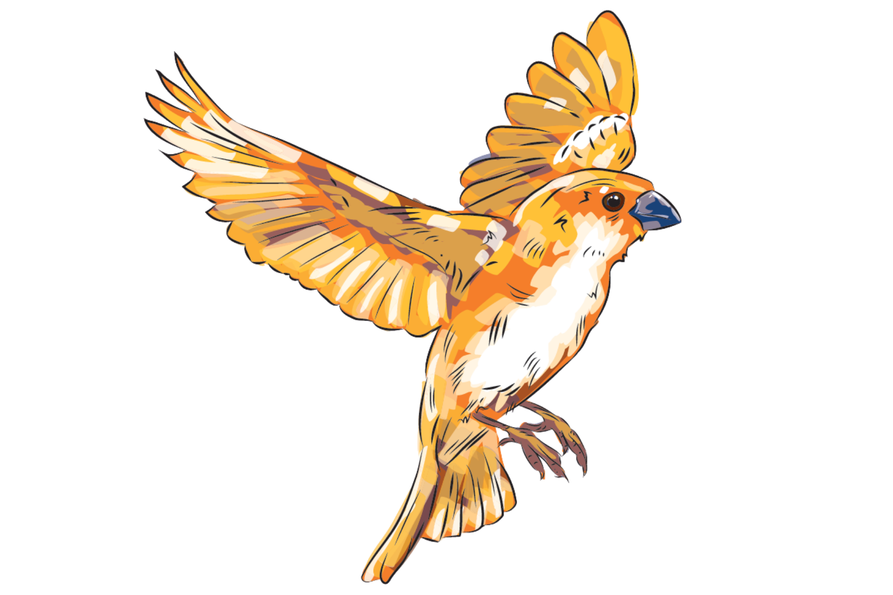 Colorful illustration of a bird in flight with orange, brown, and white feathers and a black beak.