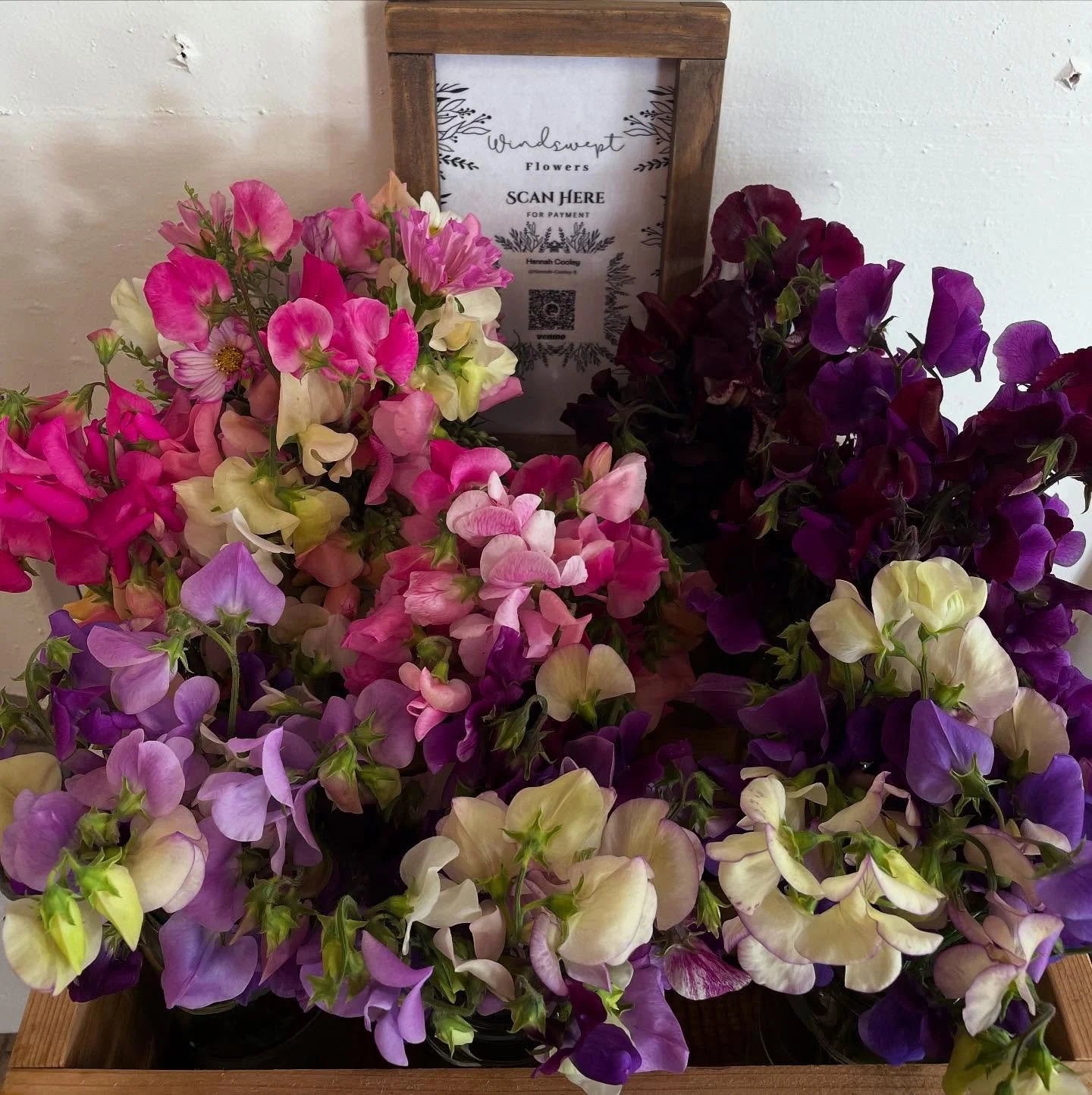 💐☕️💗And these are a few of my favorite things - fresh cut flowers and coffee💗☕️💐
Be sure to pick up a sweet pea bouquet by Hannah Cremer next time you&rsquo;re in for coffee! 
.
..
&hellip;
 #flowers #coffee #collab #smallbusiness #sidehustle #su