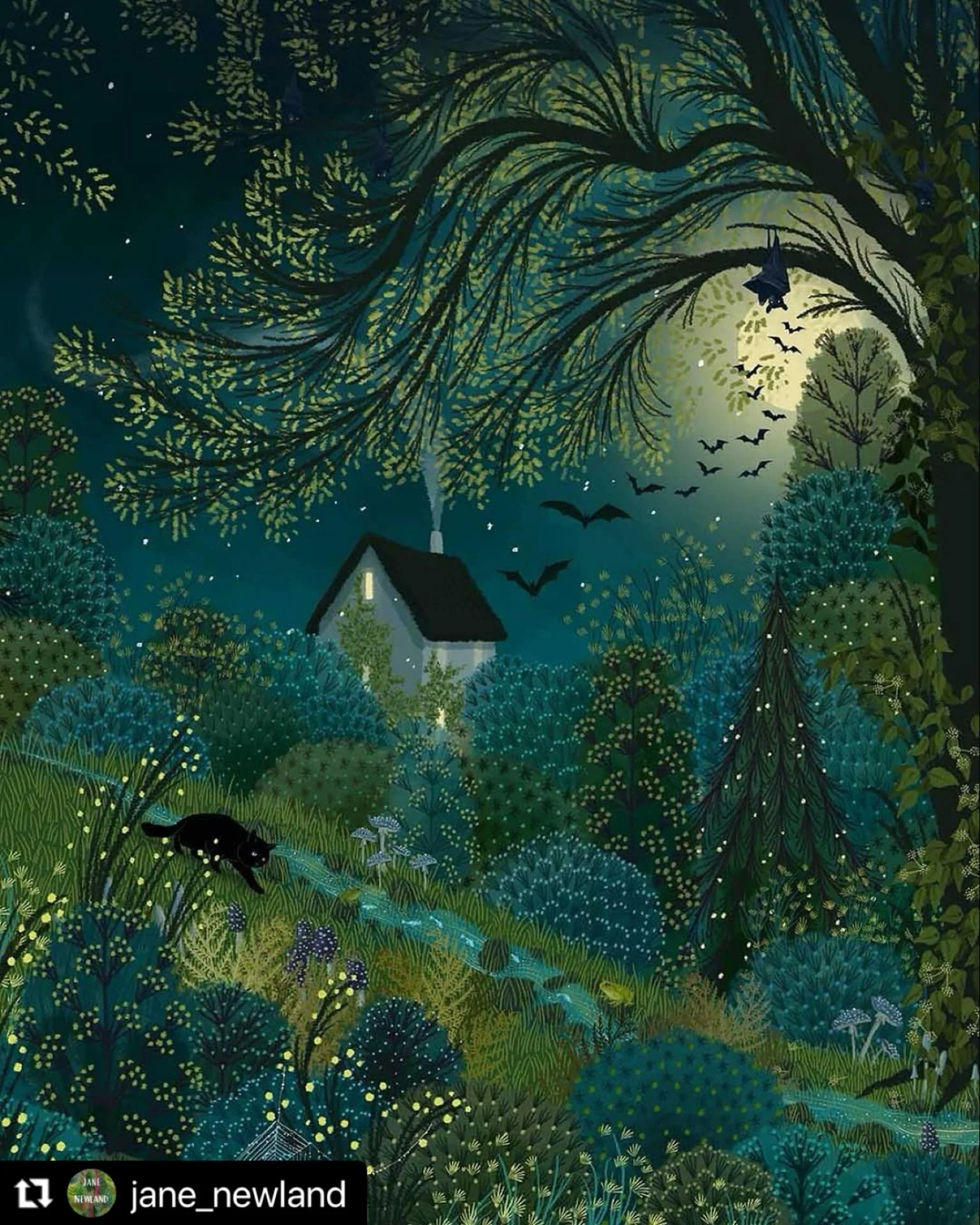 Slip out of the house, quiet as a cat, and step into the night.
Outside, feet on the bare earth, you might go anywhere, see everything. What songs are the stars singing tonight, in their cold, silver voices? Where are the bats heading, their wings l