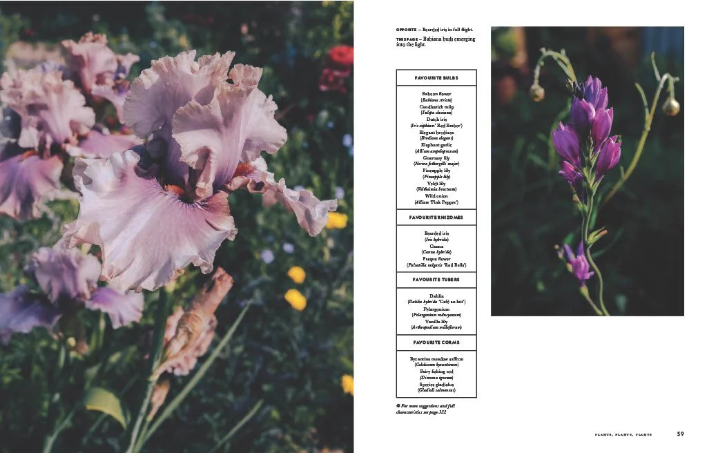 Flower Power By Jac Semmler Bulbs LR.jpg