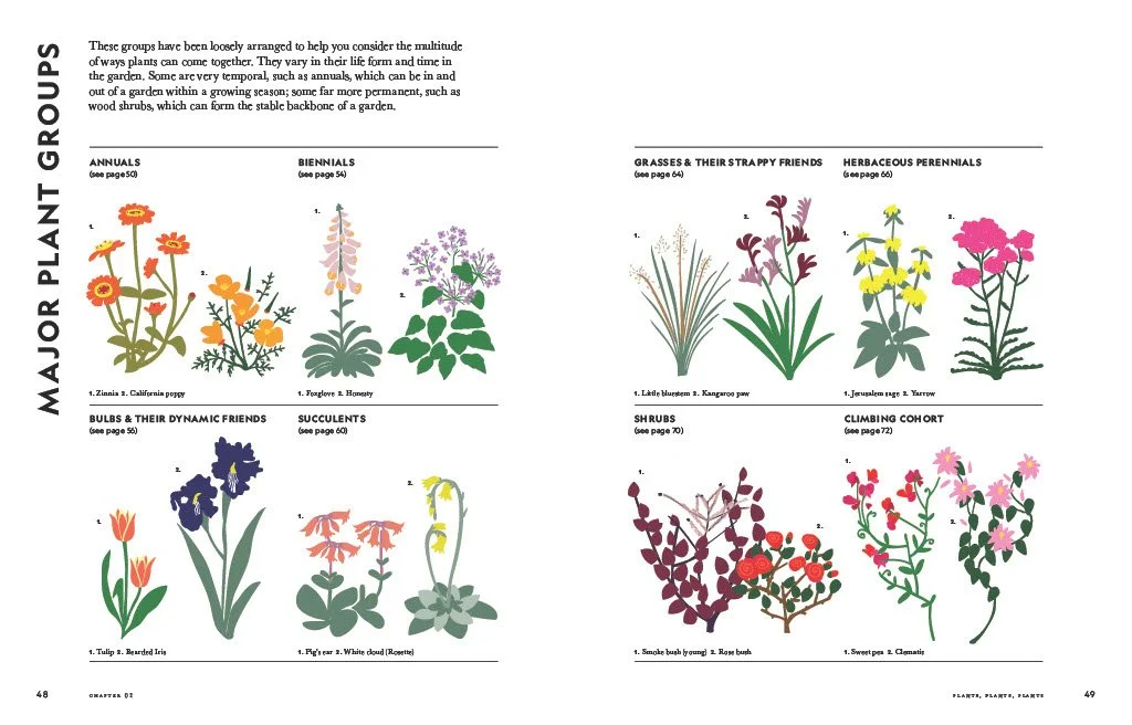 Flower Power By Jac Semmler Plant Groups LR.jpg