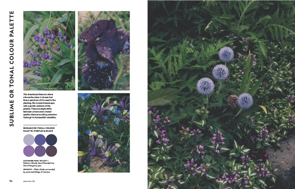 Flower Power by Jac Semmler Colour example LR.jpg