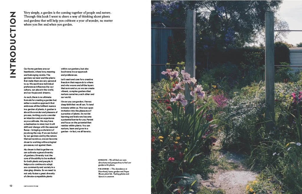 Flower Power by Jac Semmler Introduction LR.jpg