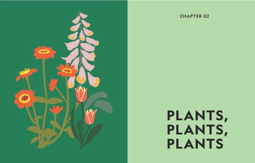 Flower Power By Jac Semmler Chap 2 LR.jpg