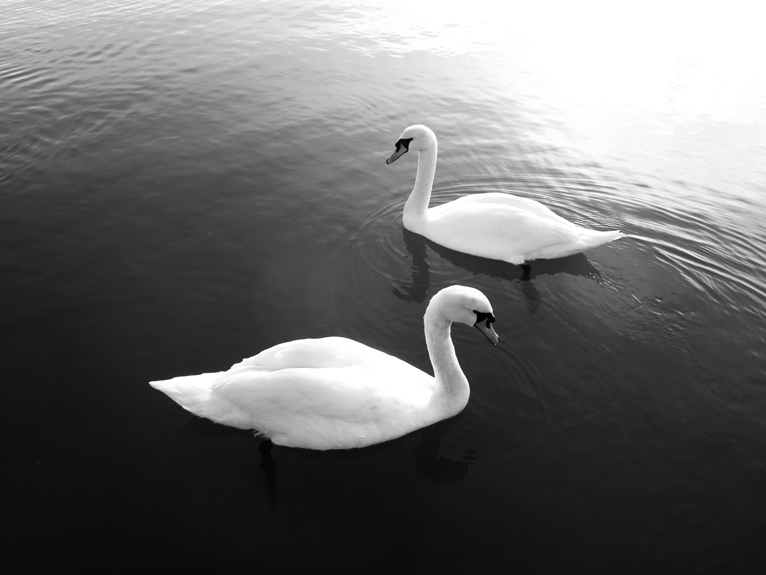 IMG_1435.jpeg