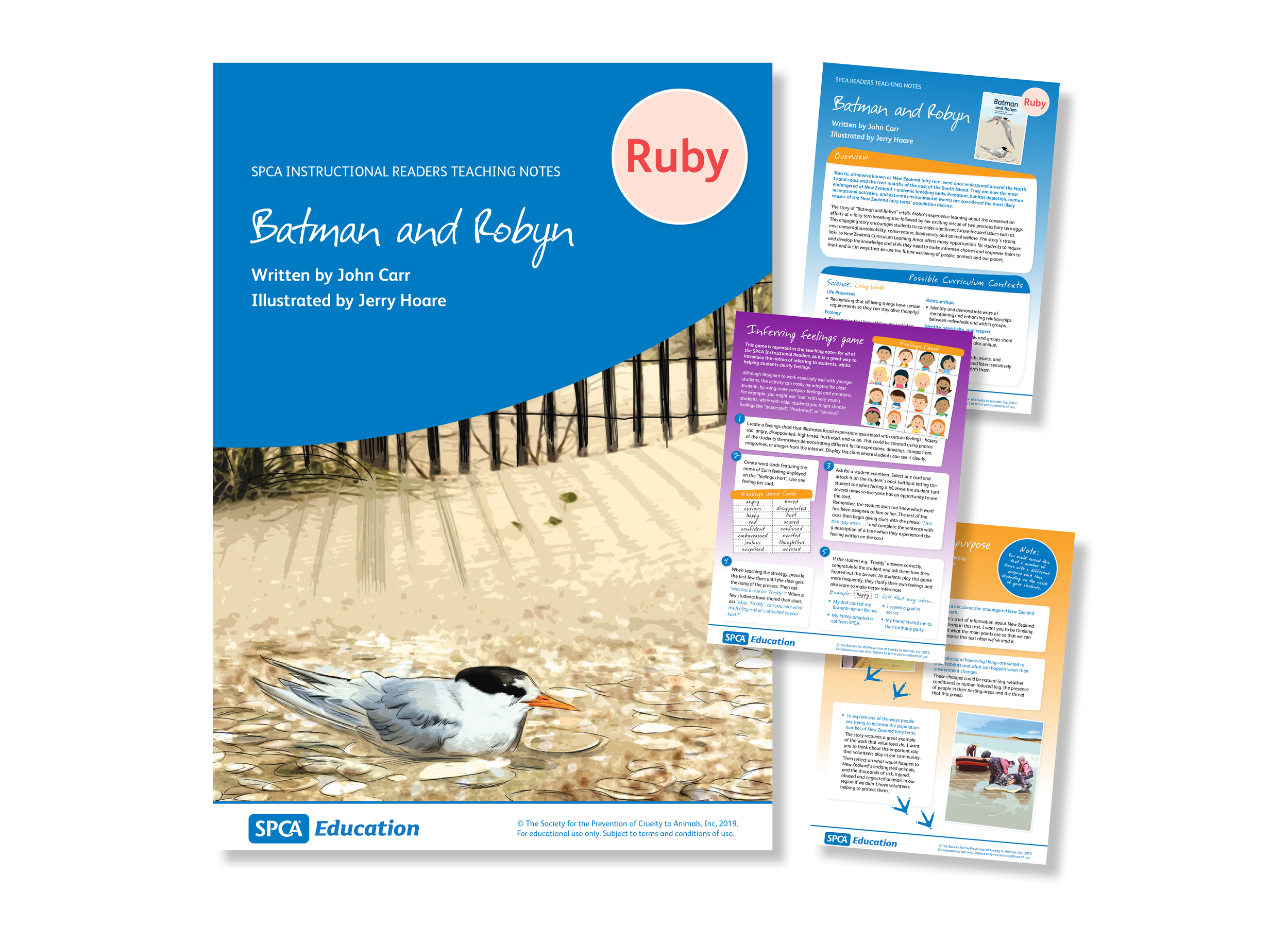 For Website portfolio_education2.png