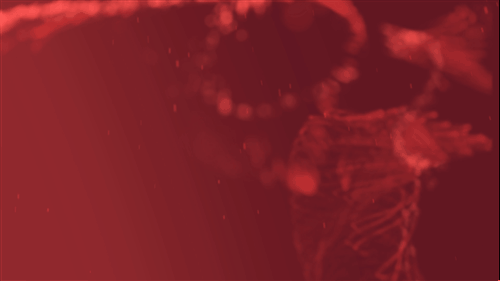 UniConverter_20230704145404.gif
