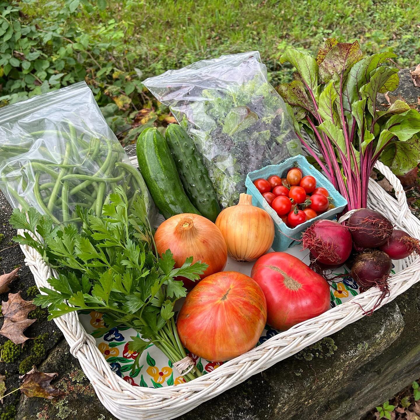 Week 14 Farm Share:
Fresh salad mix
Bunched beets
Green beans
Semi-cured white onions
Cucumbers
Two large tomatoes
Cherry tomatoes
Fresh parsley

#salanova #beets #haricots #whiteonions #cherrytomatoes #csa #farmshare #northwestcornerfarm #northwestc