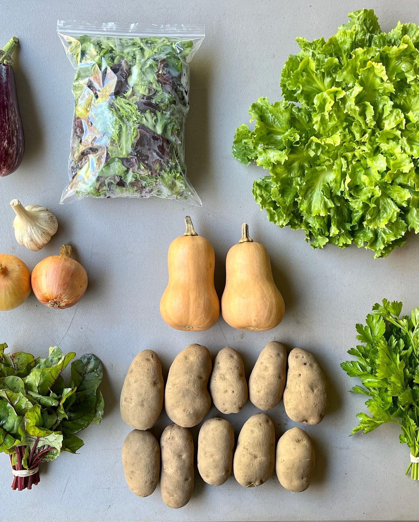 Another (belated) weekly farm share post 😀

Week 17 - our next to last share of the season!
1	Salanova salad mix
2	Escarole
3	Bunched beet greens
4	Butter Baby butternut squash
5	Patterson white onions
6	Russet potatoes
7	German Hardy Garlic
8	Parsl