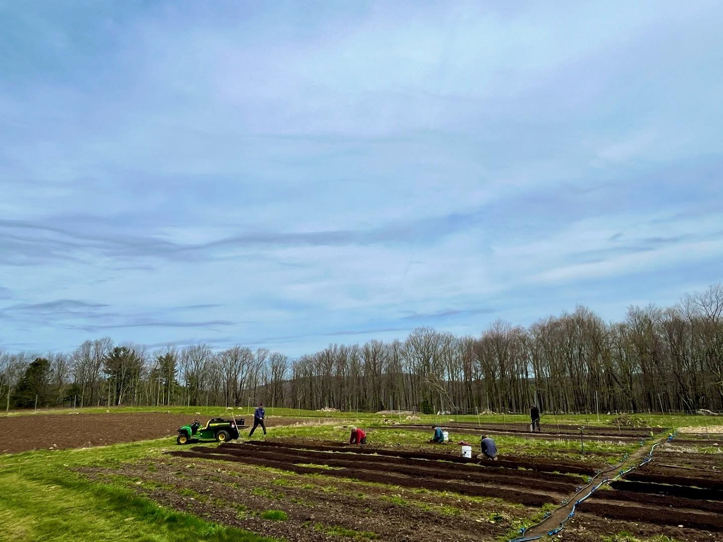 Friday we had all hands on deck as we redirected our fence around Plot 2, prepped multiple beds for potato day, and moved many, many rocks! 🪨 Big shout out to @mwright9854 for the assistance and @joetreeburkhart for helping clear the new space for p