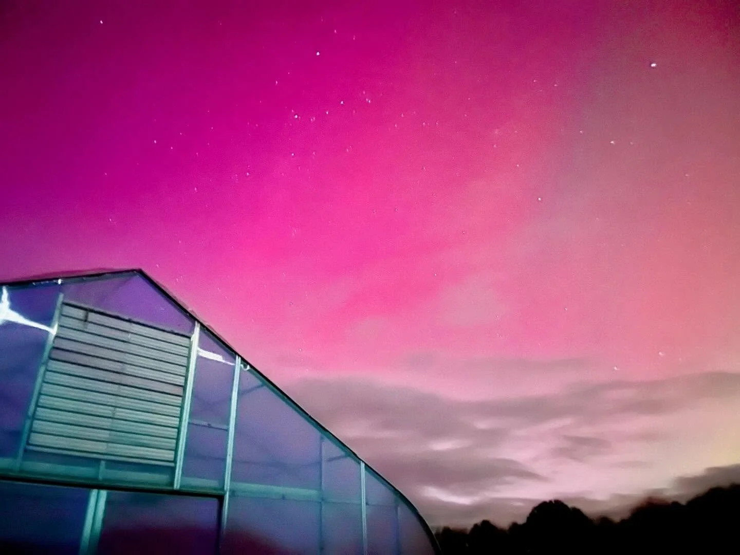 Spectacular lights above the farm tonight! (Photo by Farm Manager Adam Buggy)