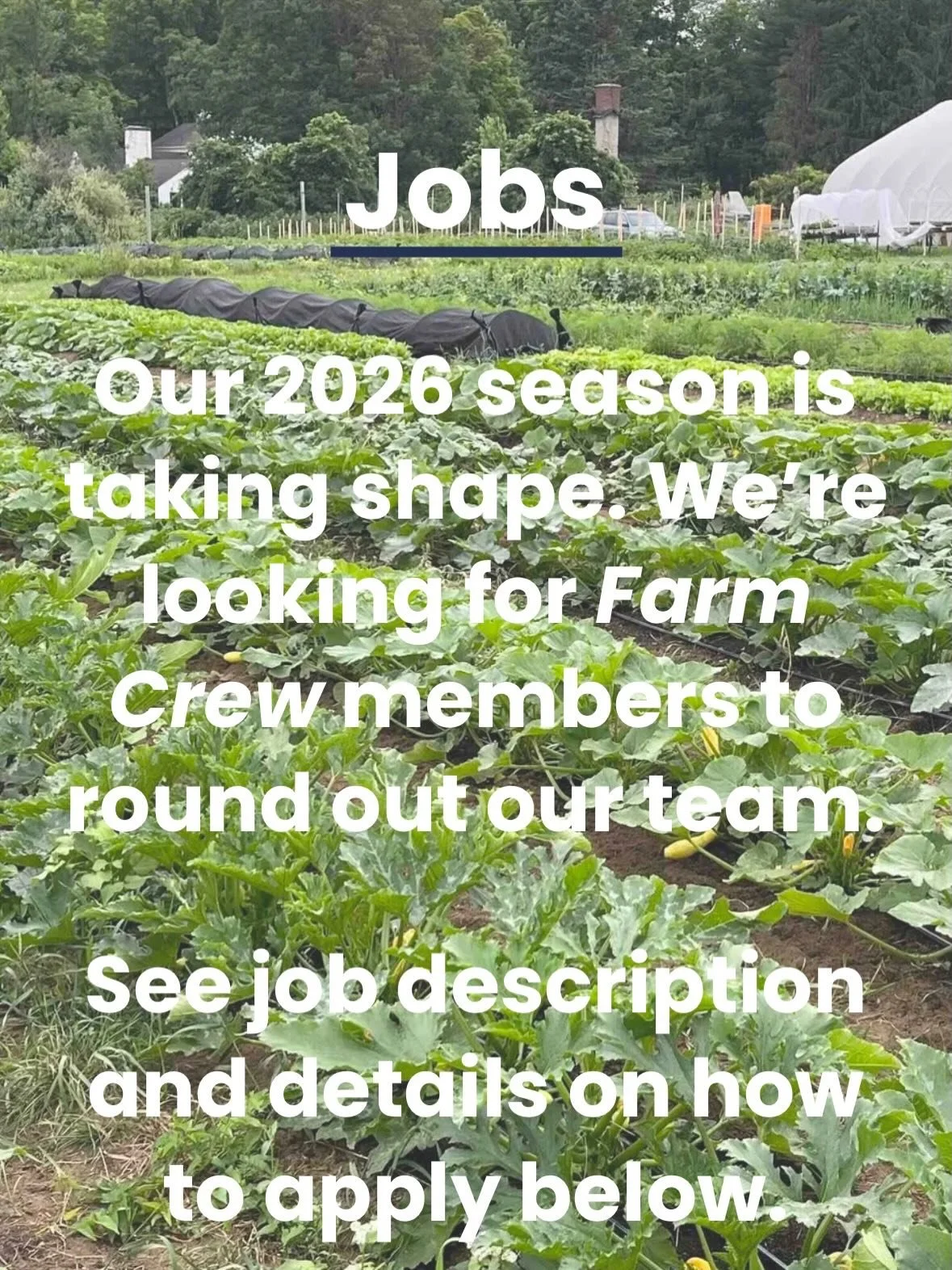 Our 2026 season is taking shape! We are looking for Farm Crew Members to join our team. More information and details on how to apply are on our website:
http://northwestcornerfarm.com

Also posted via @newctfarmers @hvyoungfarmers @ctnofa 

#farmjobs