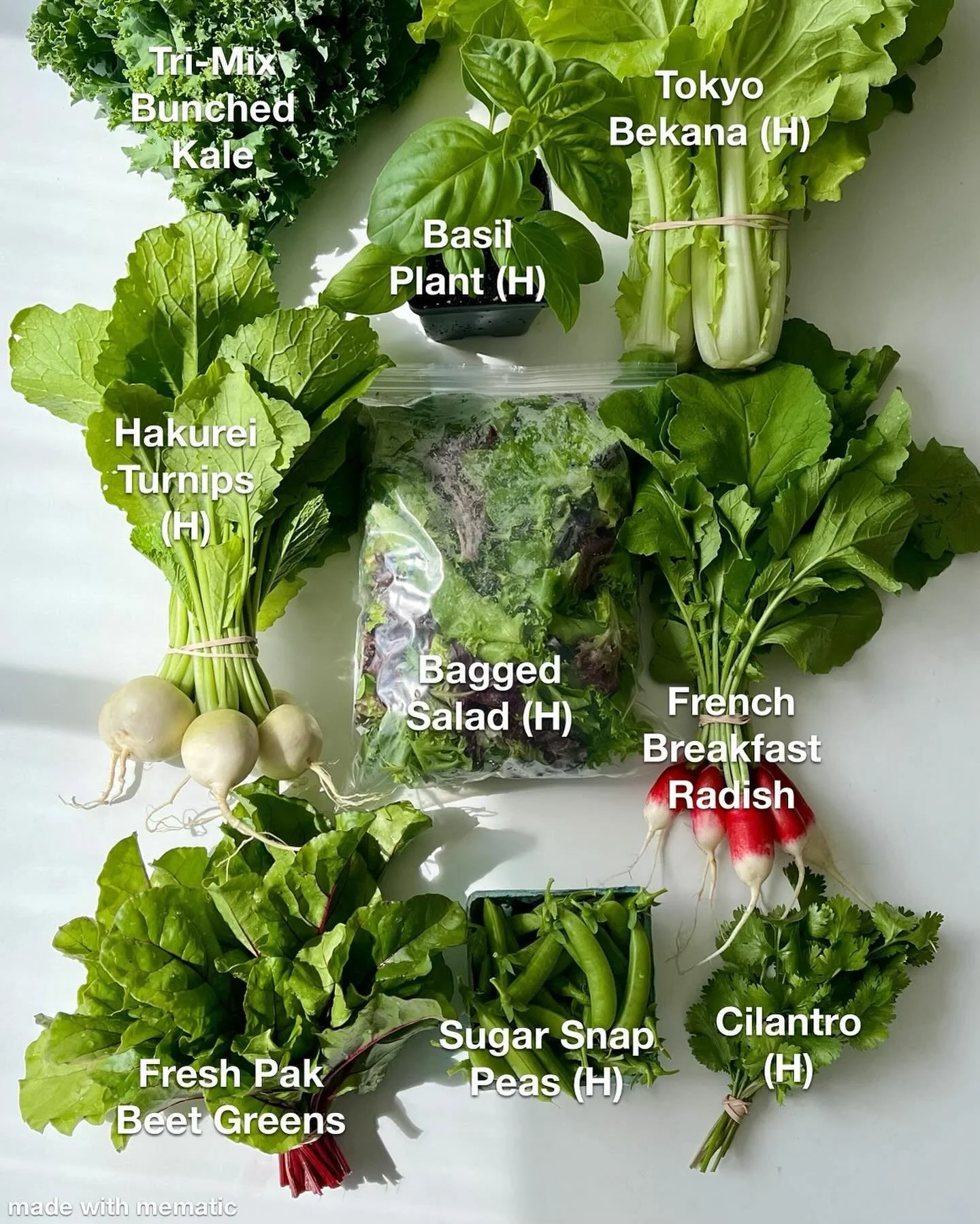 Consume Something Awesome! Season 2 of our CSA kicked off Week 1 today, with the support of our community of returning and new Members and the hard, hard work and tenacity of the farm team! We&rsquo;re offering both Full and Half Shares this season -