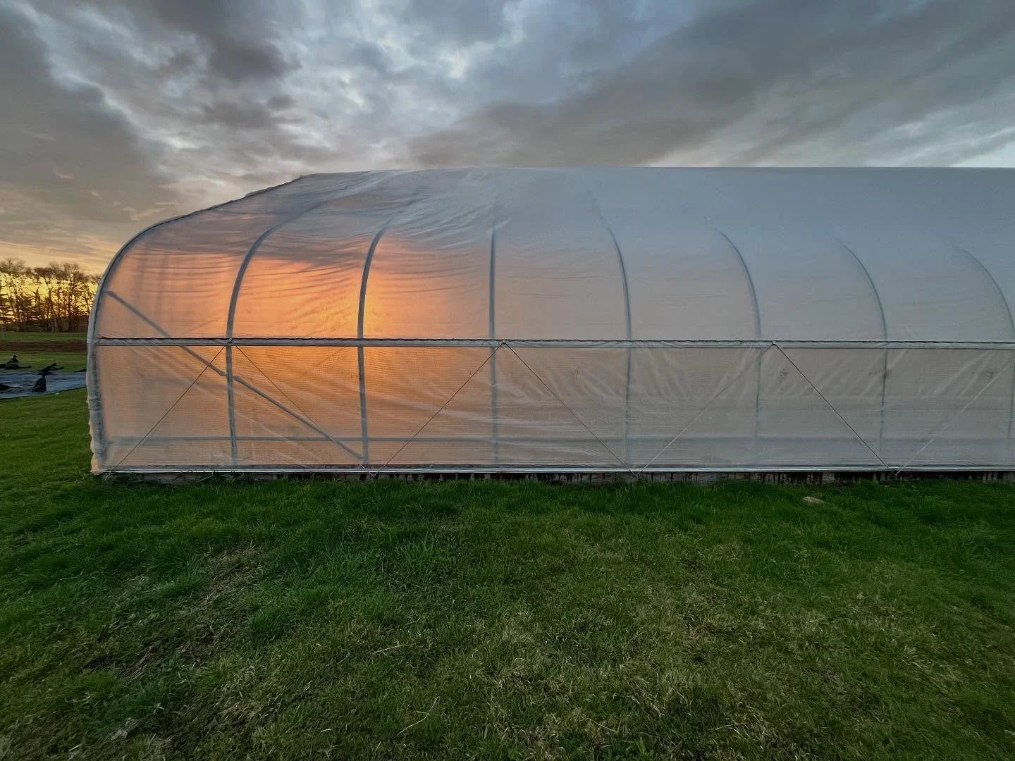 Ok, ok, we&rsquo;ll get back on Instagram 🤷&zwj;♂️ Because we&rsquo;re in the northwest hills, our season always runs behind. But this year we started late by design to reserve some bandwidth for a solar installation and a new pollinator habitat. (M