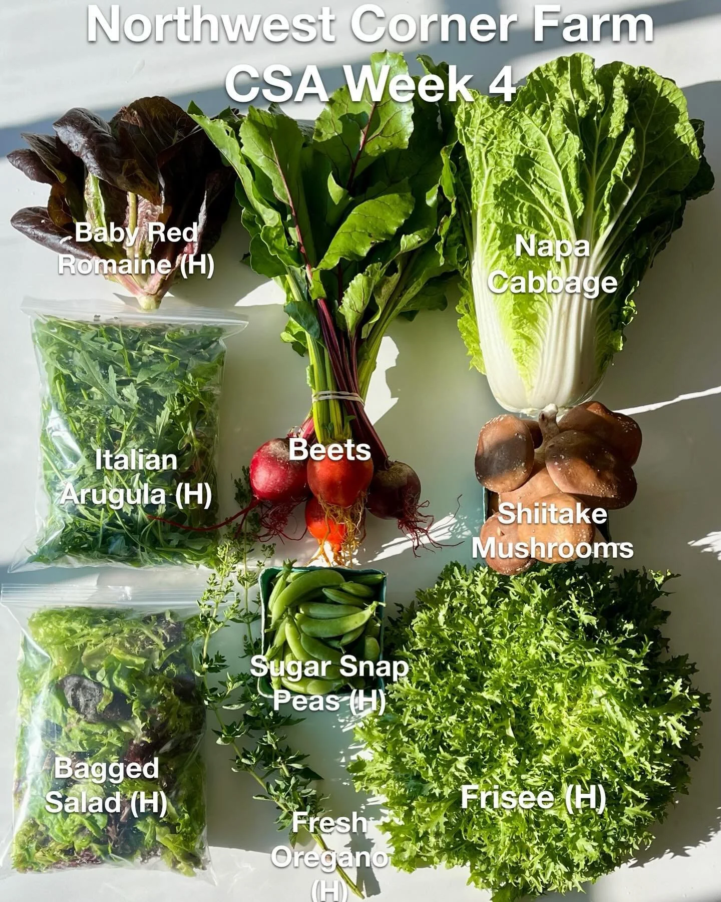 Is it CSA Week 4 already? We&rsquo;re adding some color to the shares this week! Our first beets of the season are coming out of the ground alongside Napa cabbage and fresh baby red romaine hearts. Enjoy the cultivated wild arugula variety known as &