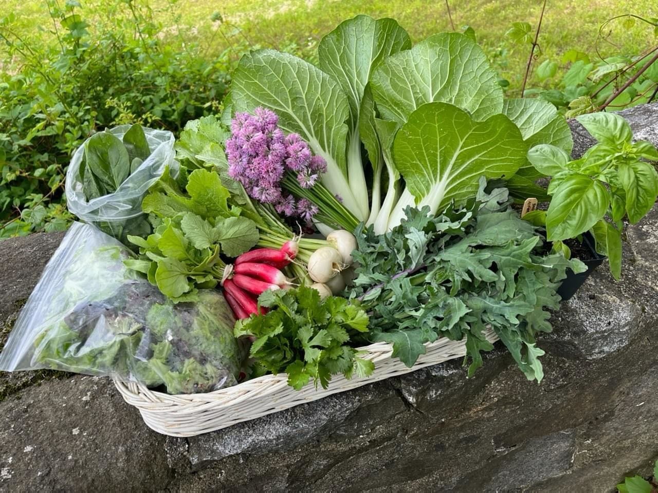 📣 NOW SOLD OUT!
Last call for 2024 CSA shares - now certified organic! We&rsquo;re almost at capacity but we do still have just a few full- and half-shares available for the season, starting Friday, June 14 and running until Friday, October 11. Head