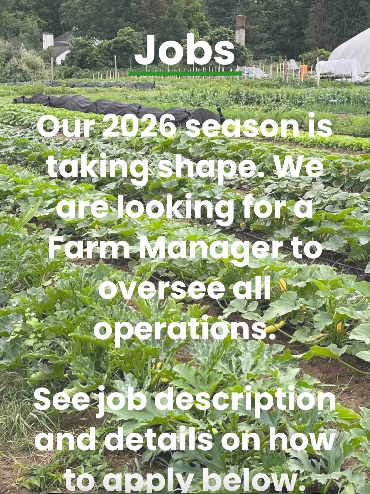Our 2026 season is taking shape! We are looking for a Farm Manager to oversee growing and business operations, with an opportunity to build equity in the farm over time. More information about the opportunity and details on how to apply are on our we