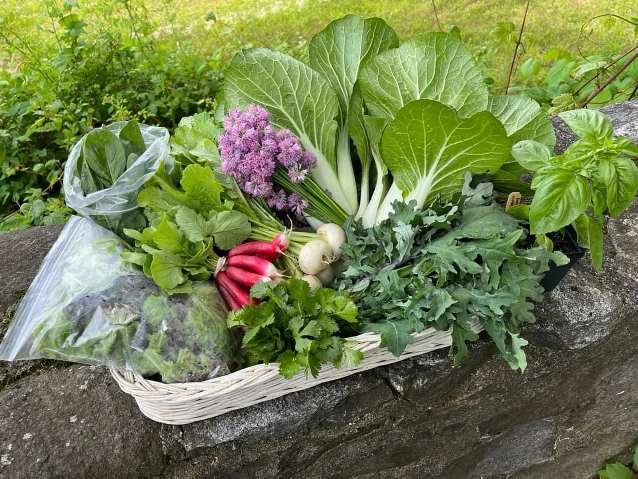 📣 NOW SOLD OUT!
Last call for 2024 CSA shares - now certified organic! We&rsquo;re almost at capacity but we do still have just a few full- and half-shares available for the season, starting Friday, June 14 and running until Friday, October 11. Head