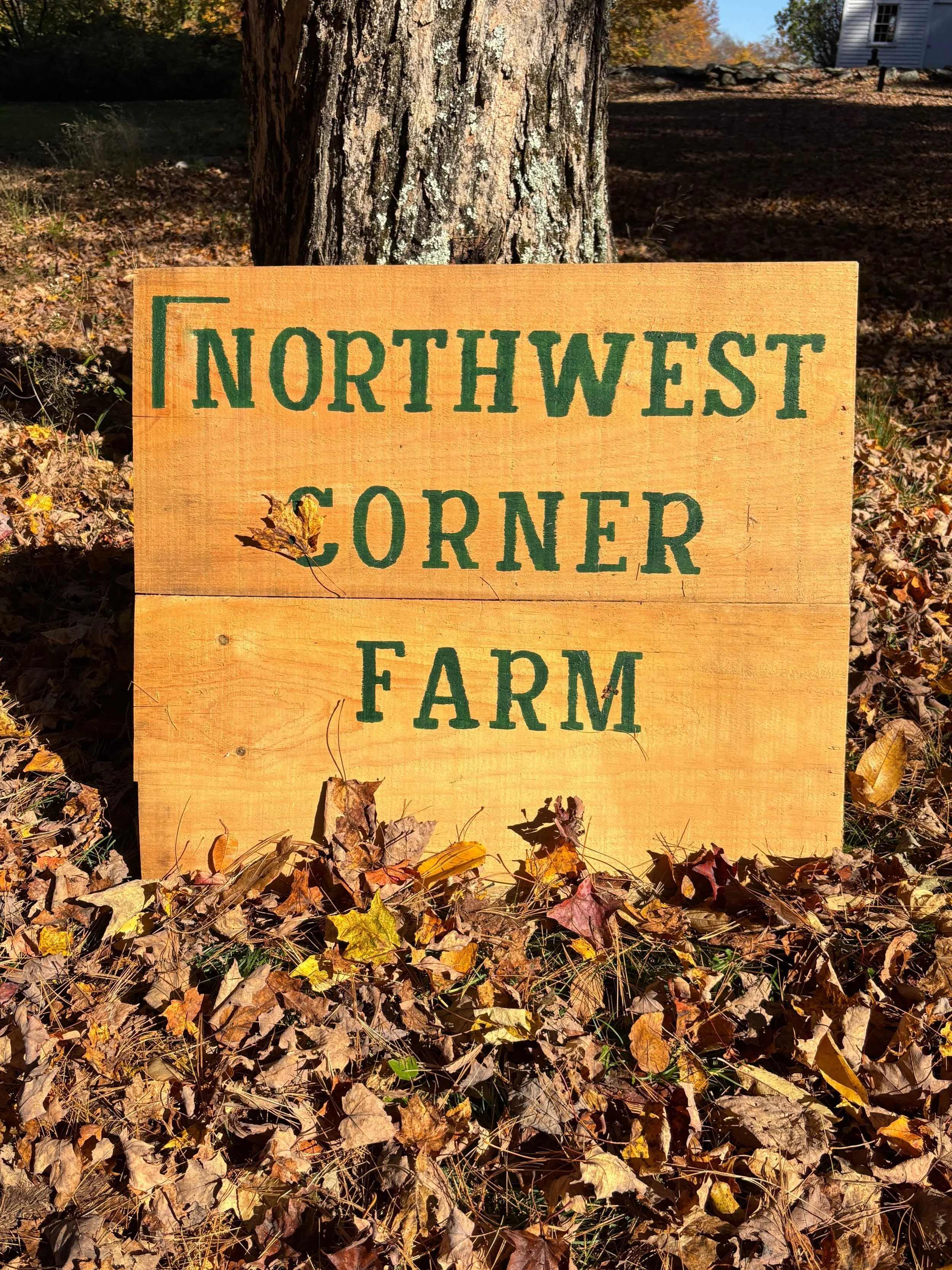 Photos from around the farm the last few weeks! 

#ctgrownorganic #farming