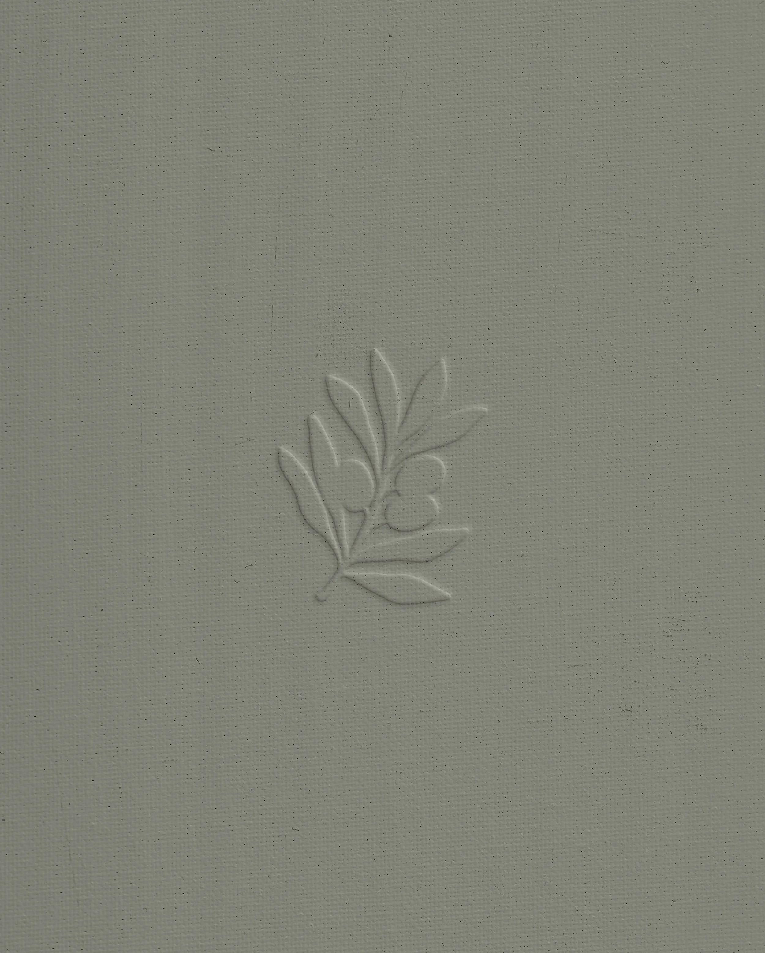 Mediterranean-inspired branding design featuring custom illustrations, olive branch iconography, and a timeless logo identity for Studio Miles Design.