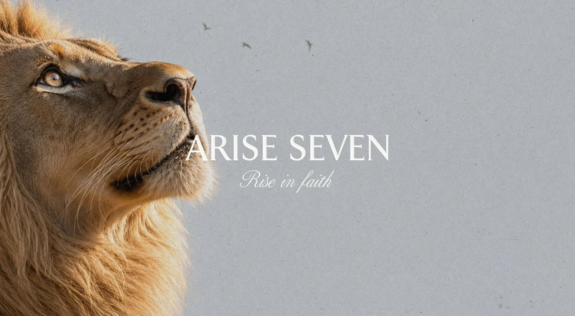 ARISE SEVEN LION BRANDING