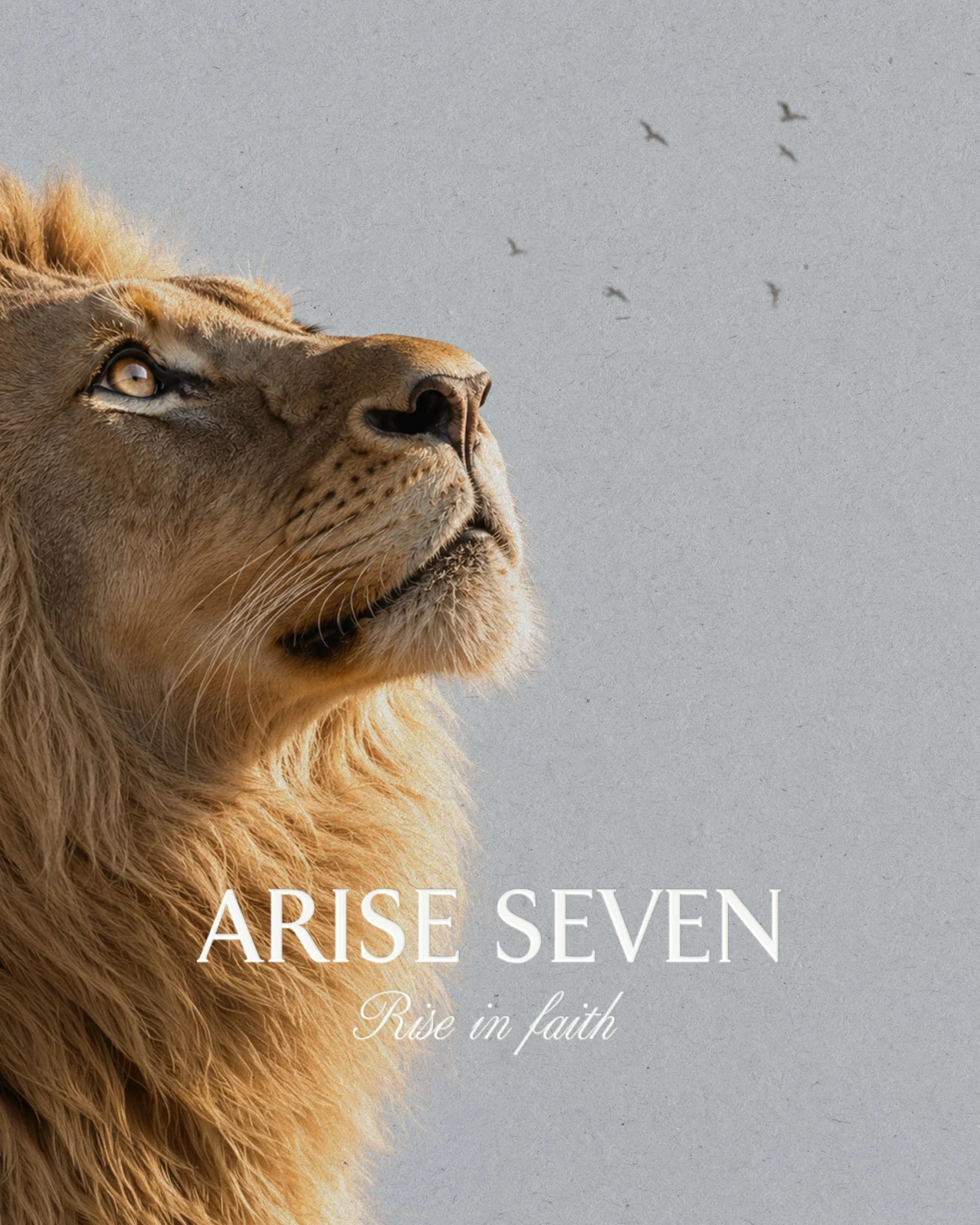 ARISE SEVEN LION FAITH BRANDING