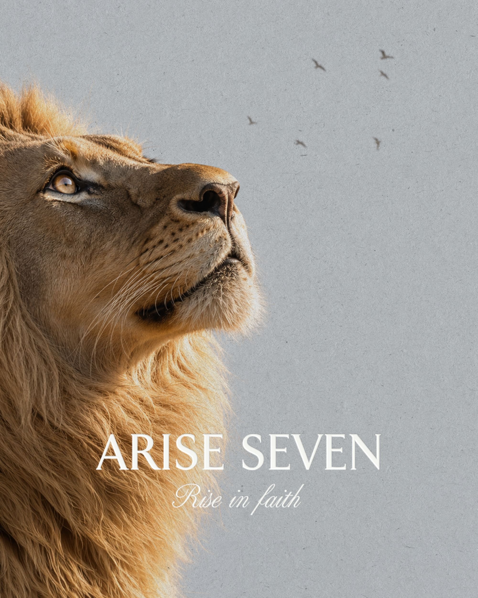 ARISE SEVEN (All)(Branding)(Packaging)