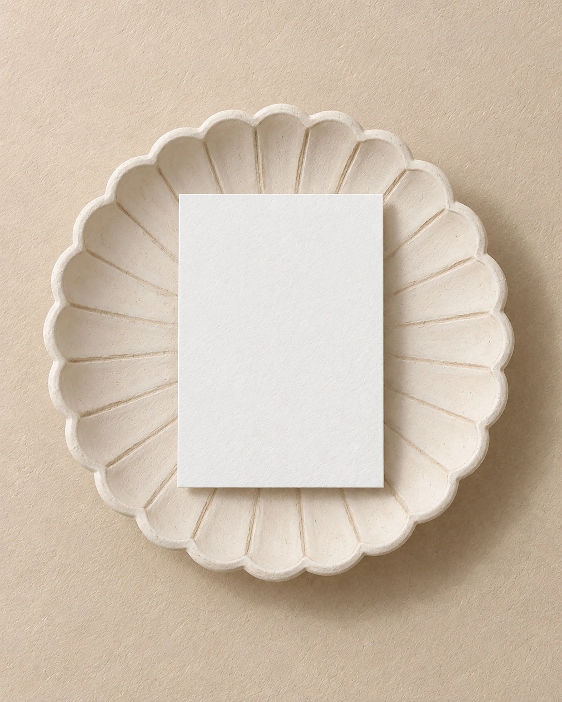 Scallop Story Images-02.jpeg