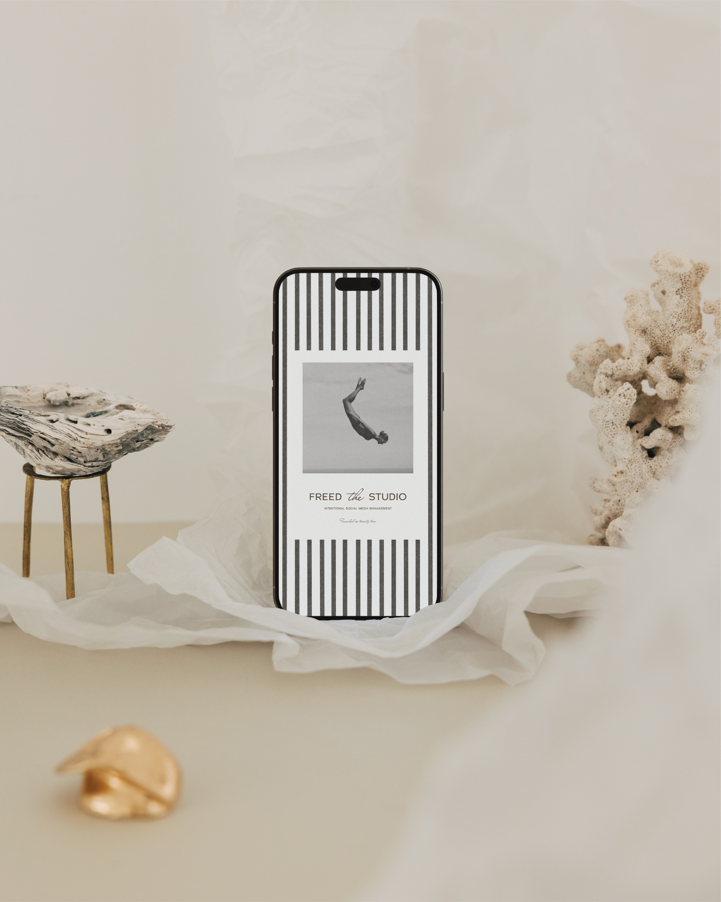 Freed the Studio Portfolio-04.png