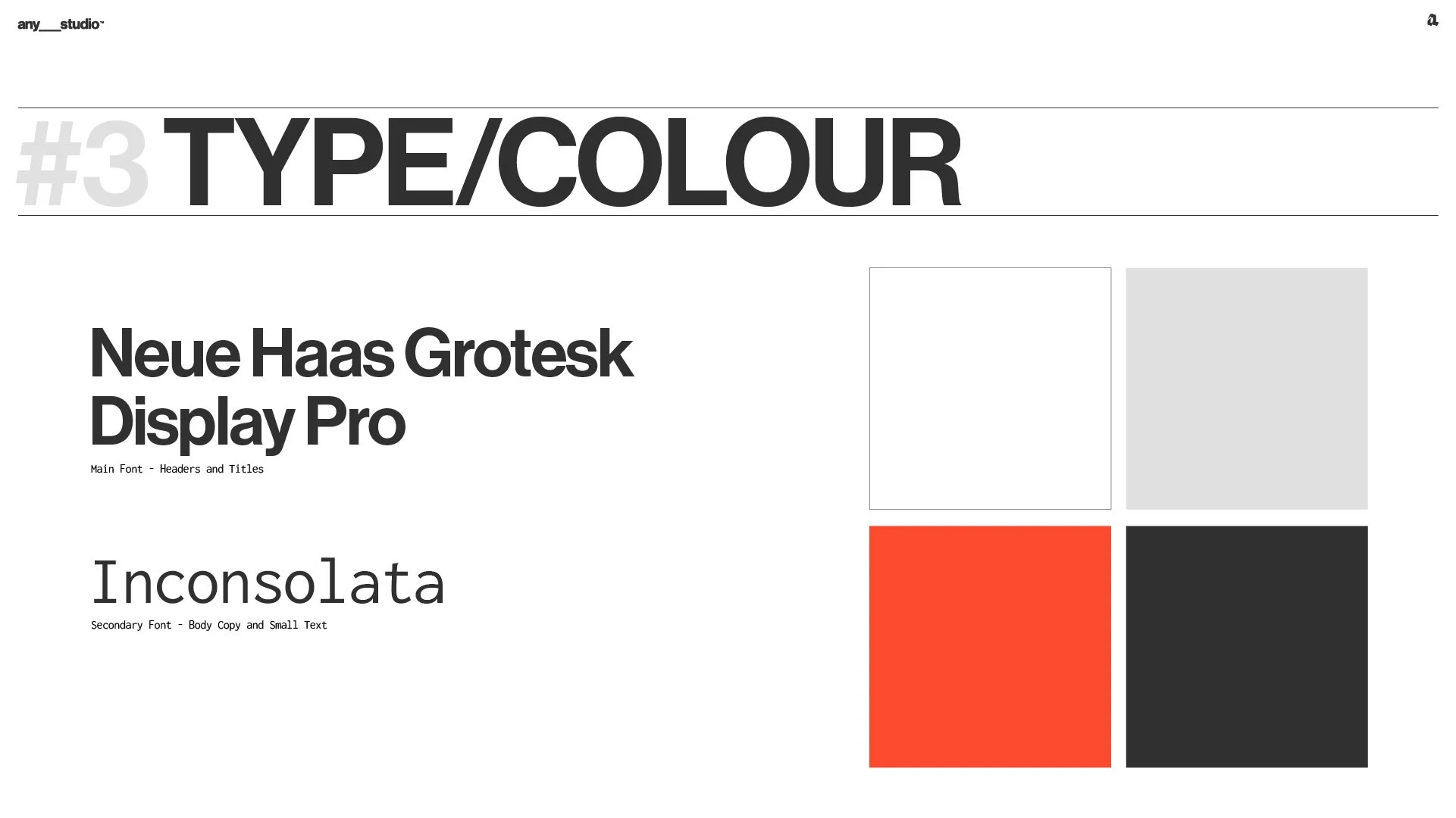 Anystudio_Logo Devs_4-03.jpg