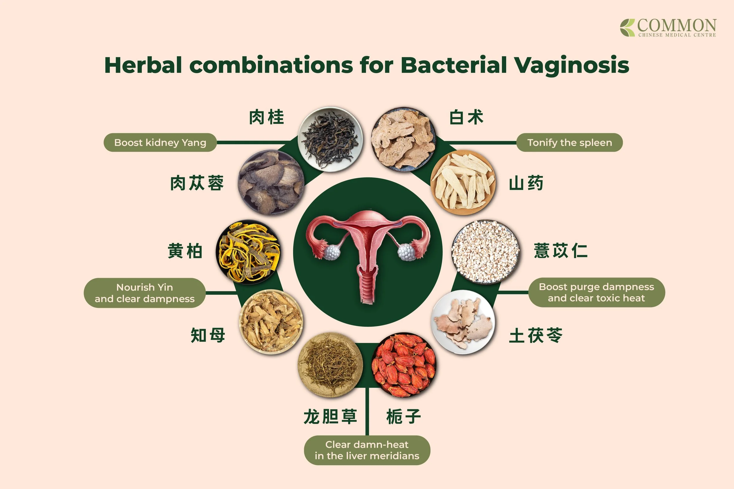 TCM Herbal combinations for bacterial vaginosis | Common TCM