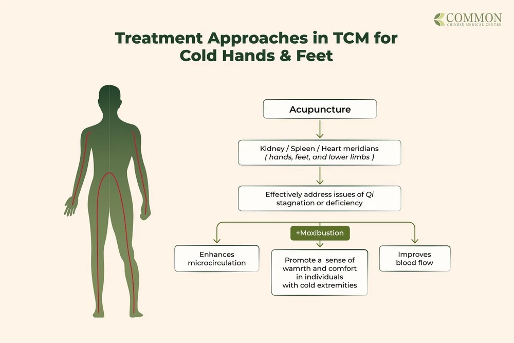 TCM Treatment Approaches to Cold Hands and Feet