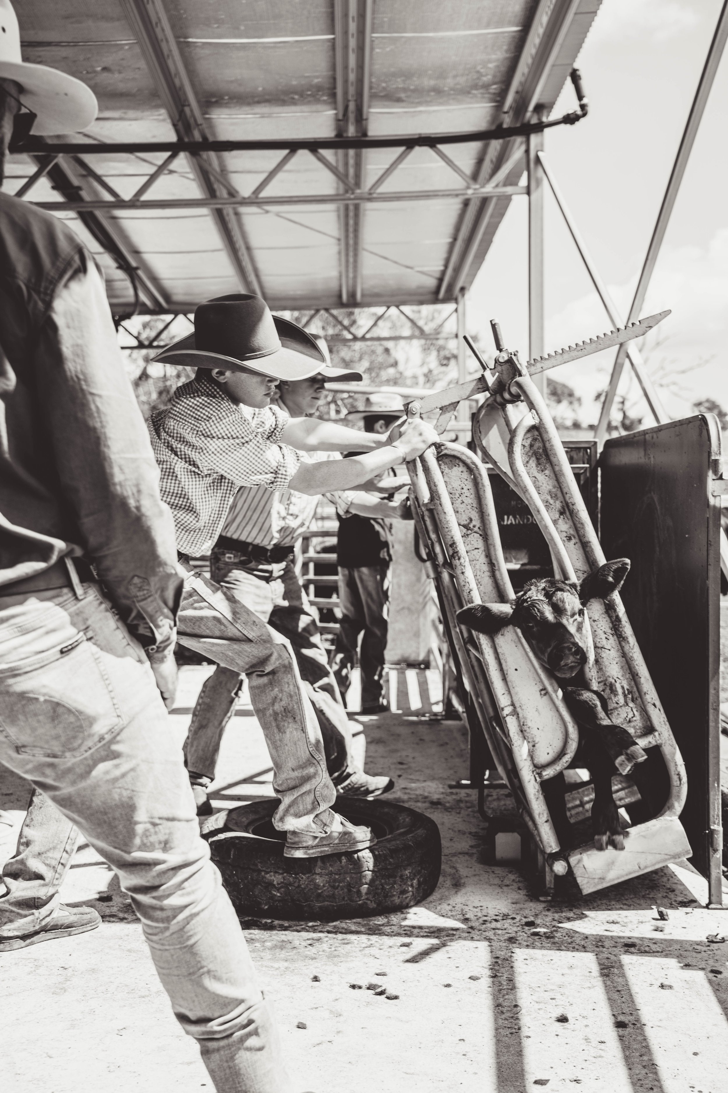 IV_09226.jpg
