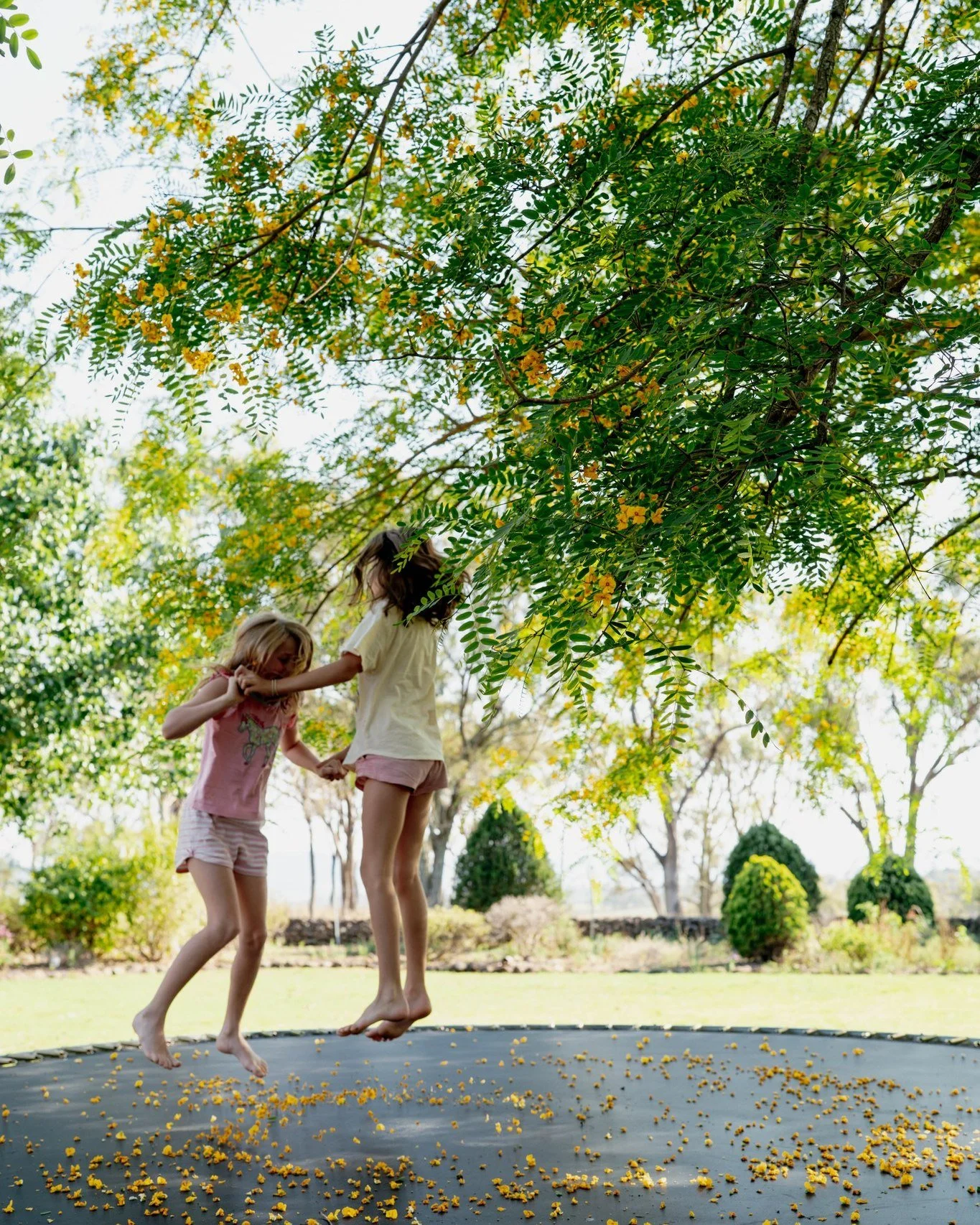 November mood board.