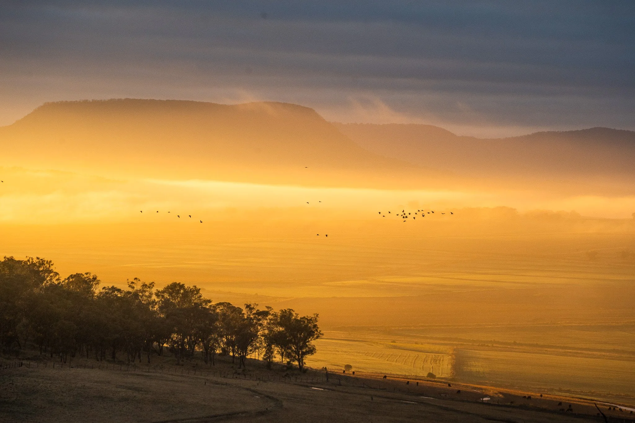 A sunrise from a few moons ago, still a favourite. One of those rare moments when everything seems to pause at just the right time: the sun, the birds, the drifting mist. Cheers, Mother Nature. 

#studioruralphotography #sunrise #landscapephotograph