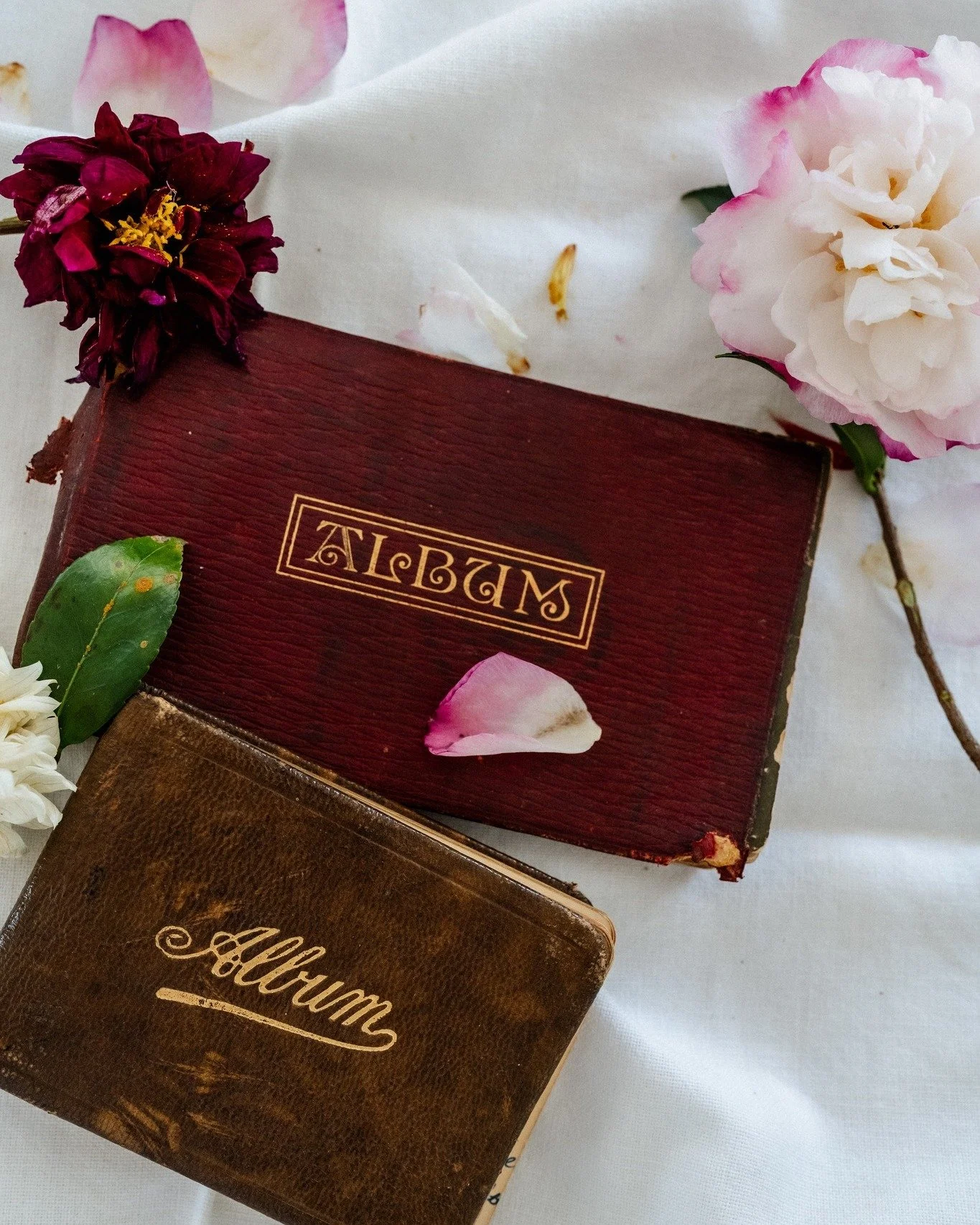 On a recent visit to my parents&rsquo; place, Mum showed me my grandmother&rsquo;s and great-great-aunt&rsquo;s autograph books that she has kept. I was in awe of the beautiful quotes, messages and drawings... but most of all, the incredible handwrit