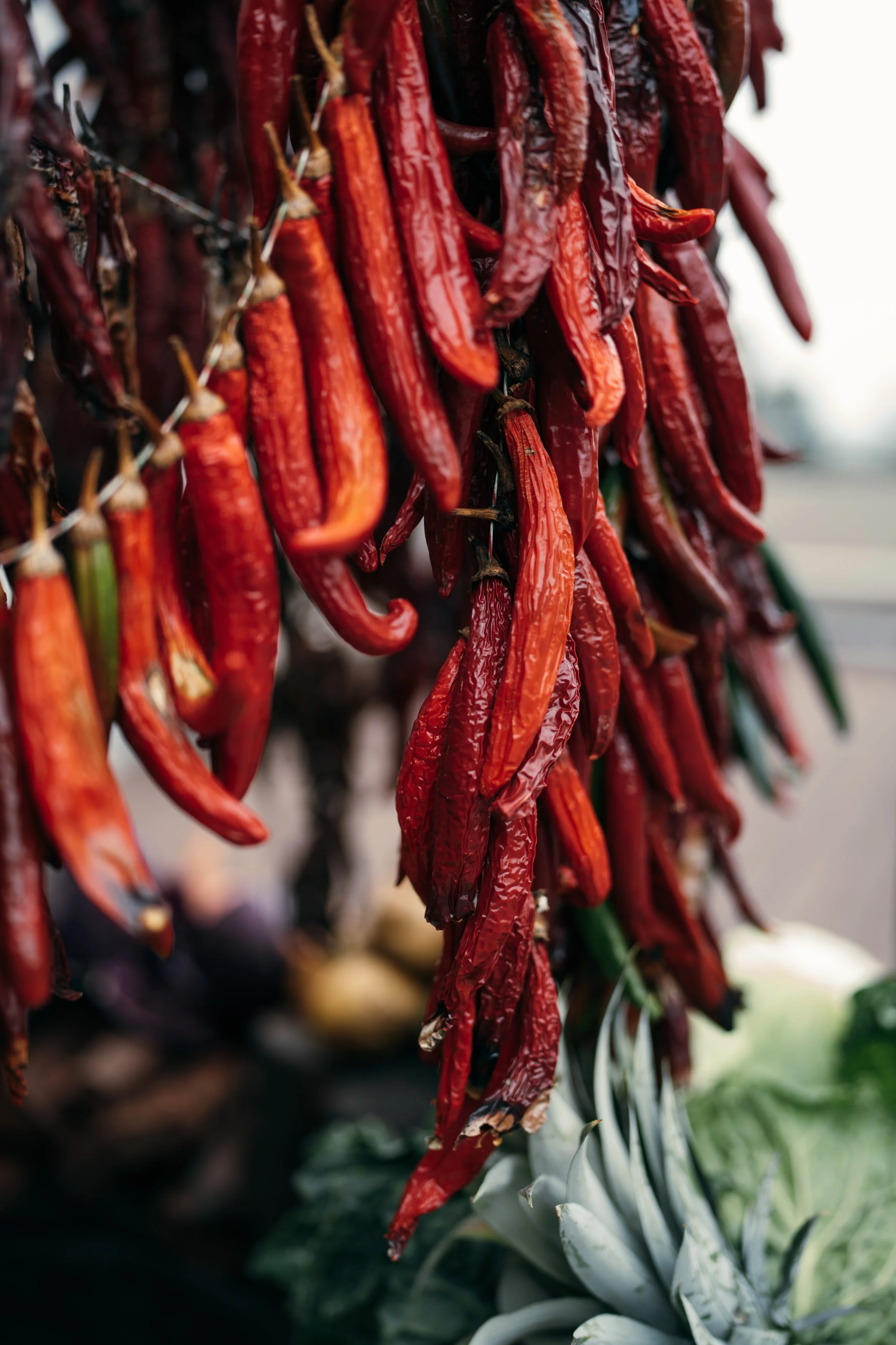 Osborne House LR-05074.jpg