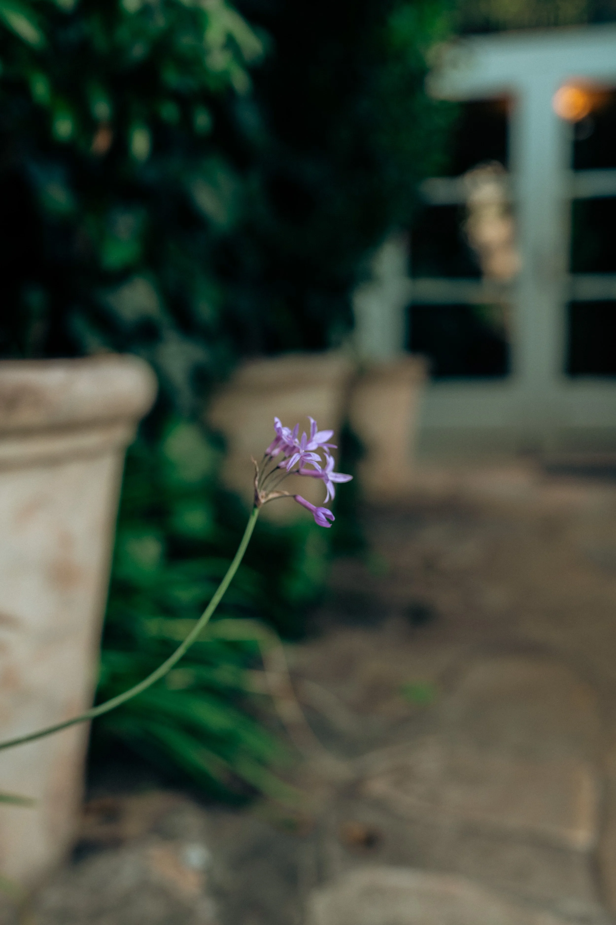 Osborne House LR-00541.jpg