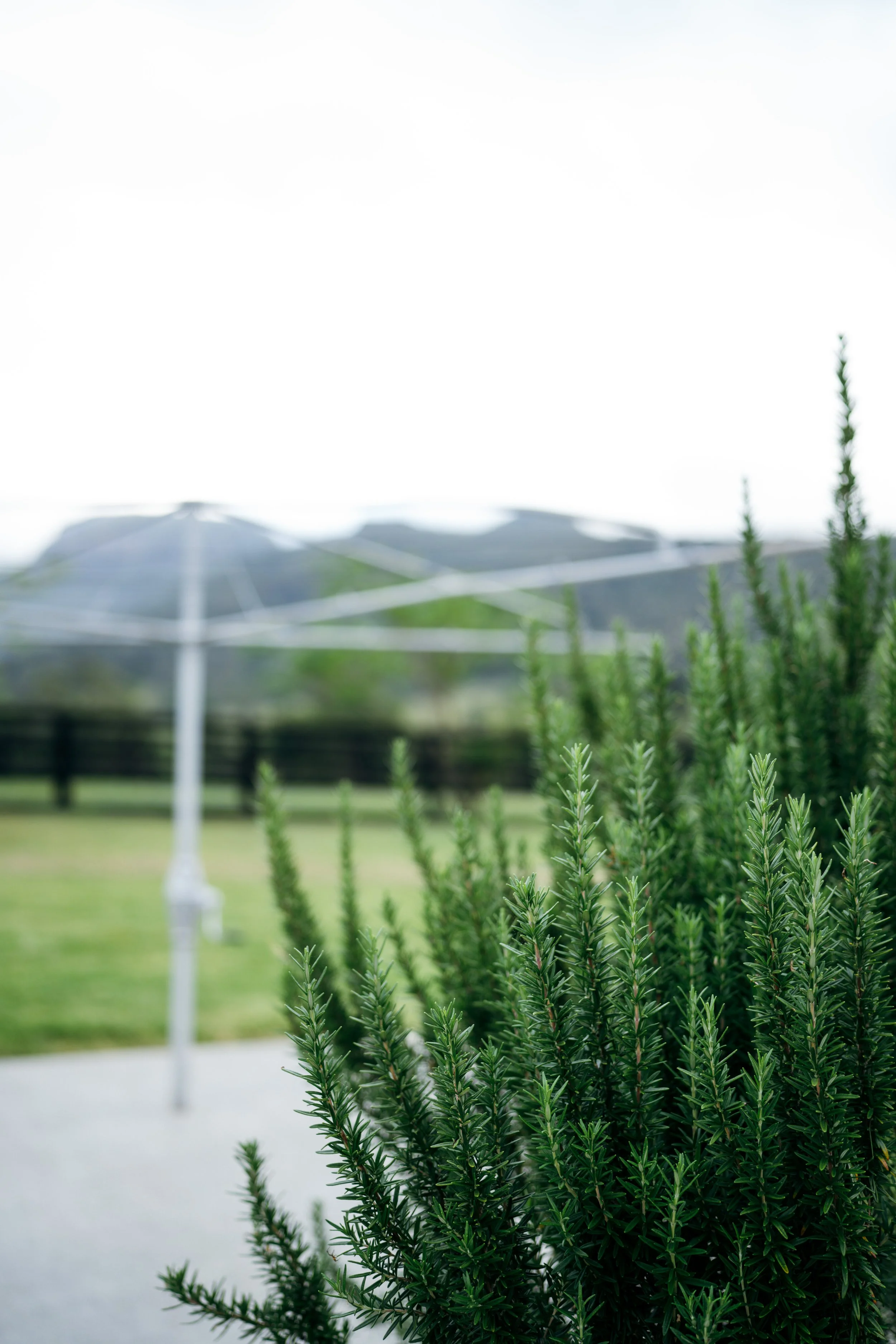 Numinbah LR-00238.jpg